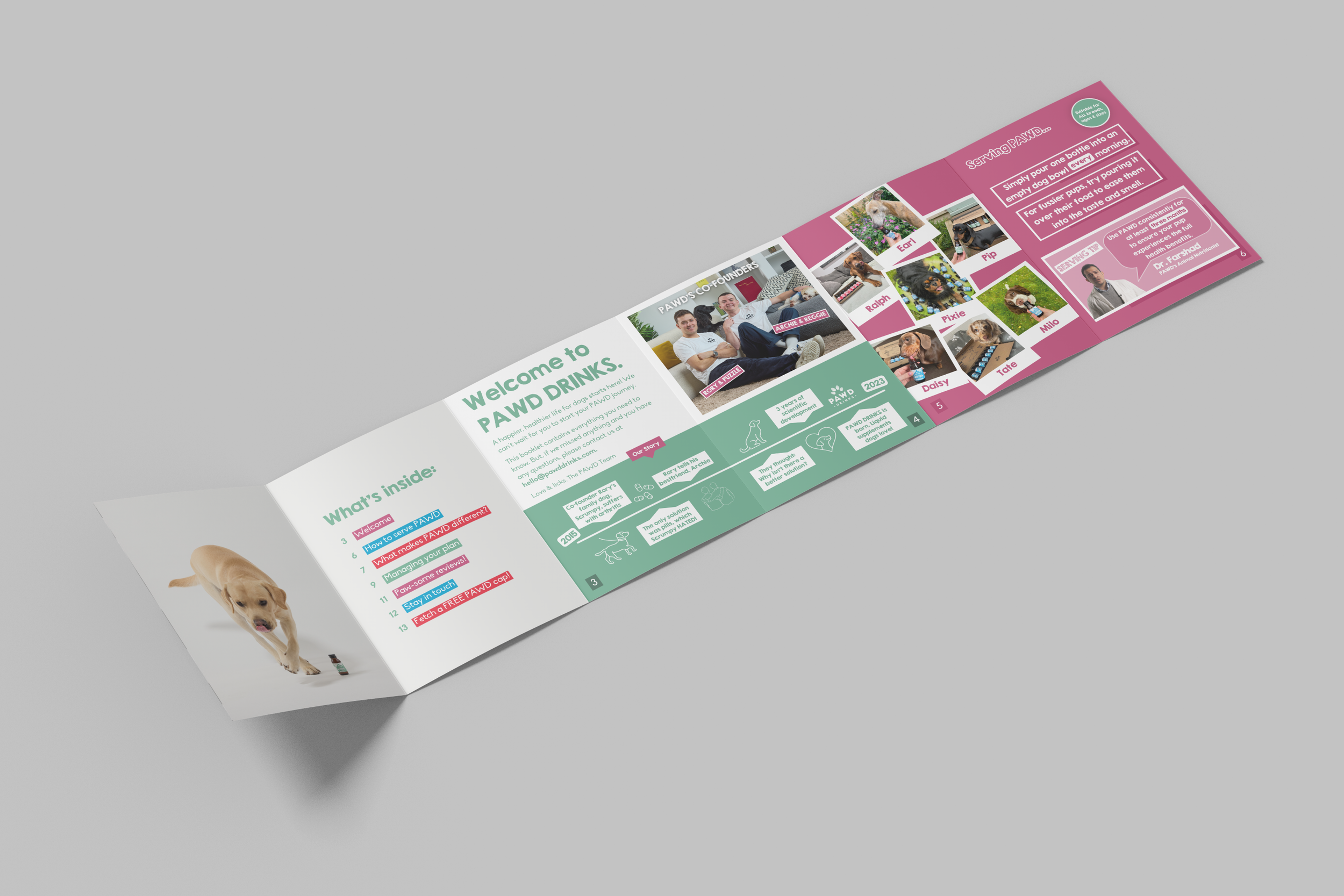 A pamphlet or brochure about dog health and nutrition, featuring images of dogs, text with headings and tips, and a photo of a golden retriever puppy at the bottom left corner.