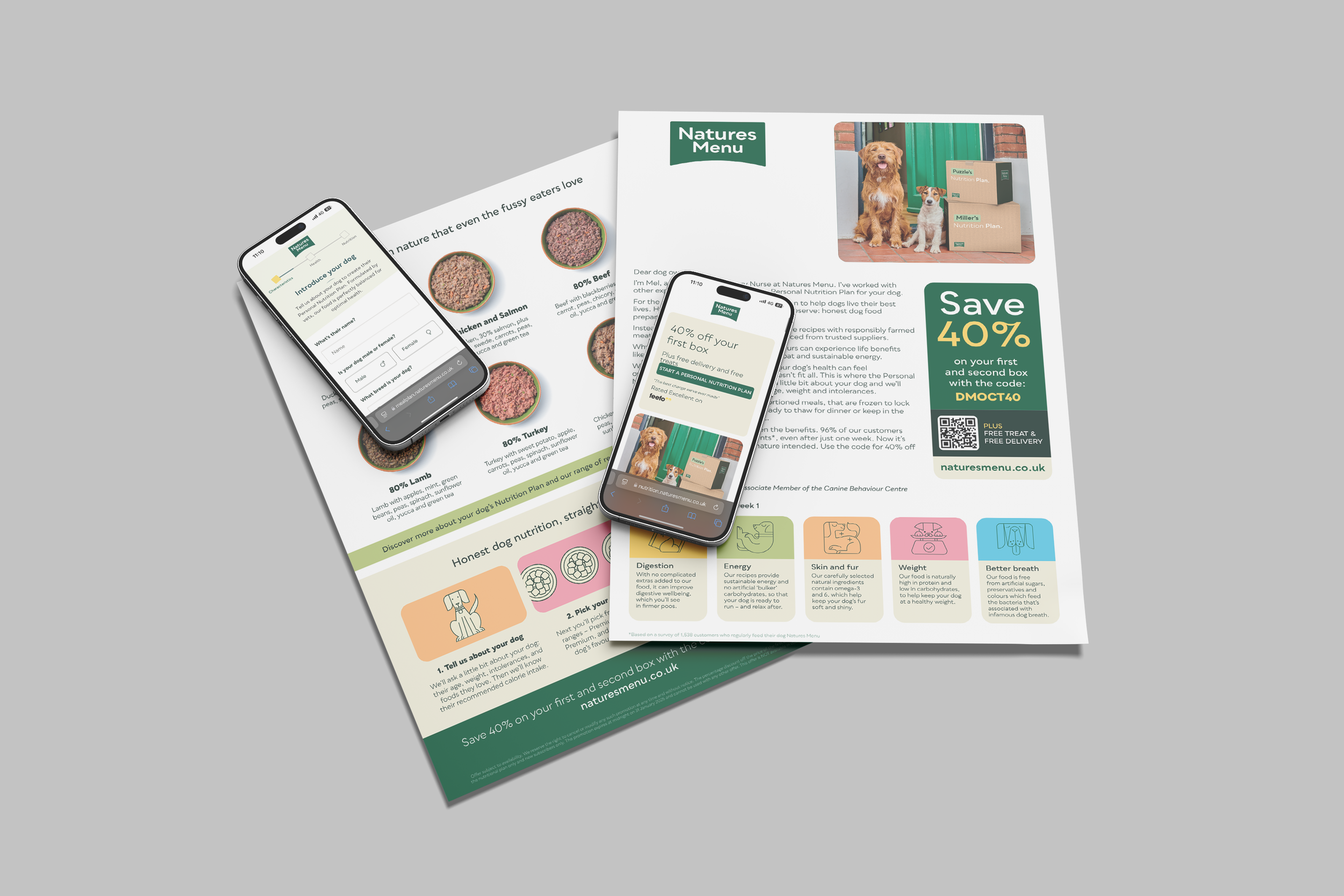 Flyer and mobile screen displaying information about dog nutrition and a discount promotion from Natures Menu, featuring a picture of two dogs and boxes of dog food.