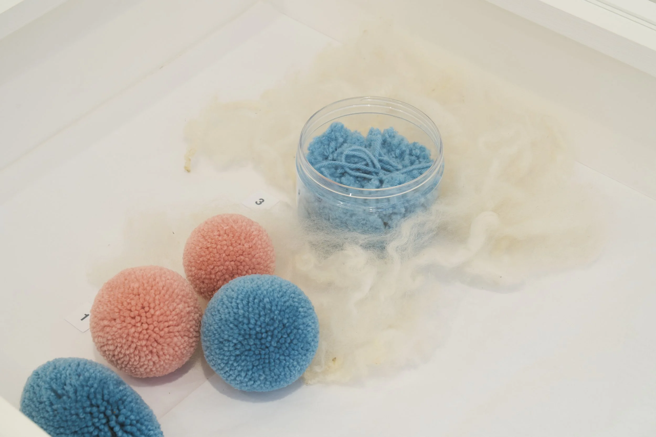 Look Well After Yourself, 2024, Pom-poms made in pale colours and a collapsed woollen form are displayed as artefacts, demonstrating the beauty and significance of process works. A tub of pom-pom trimmings has been preserved like the gut-healing pick