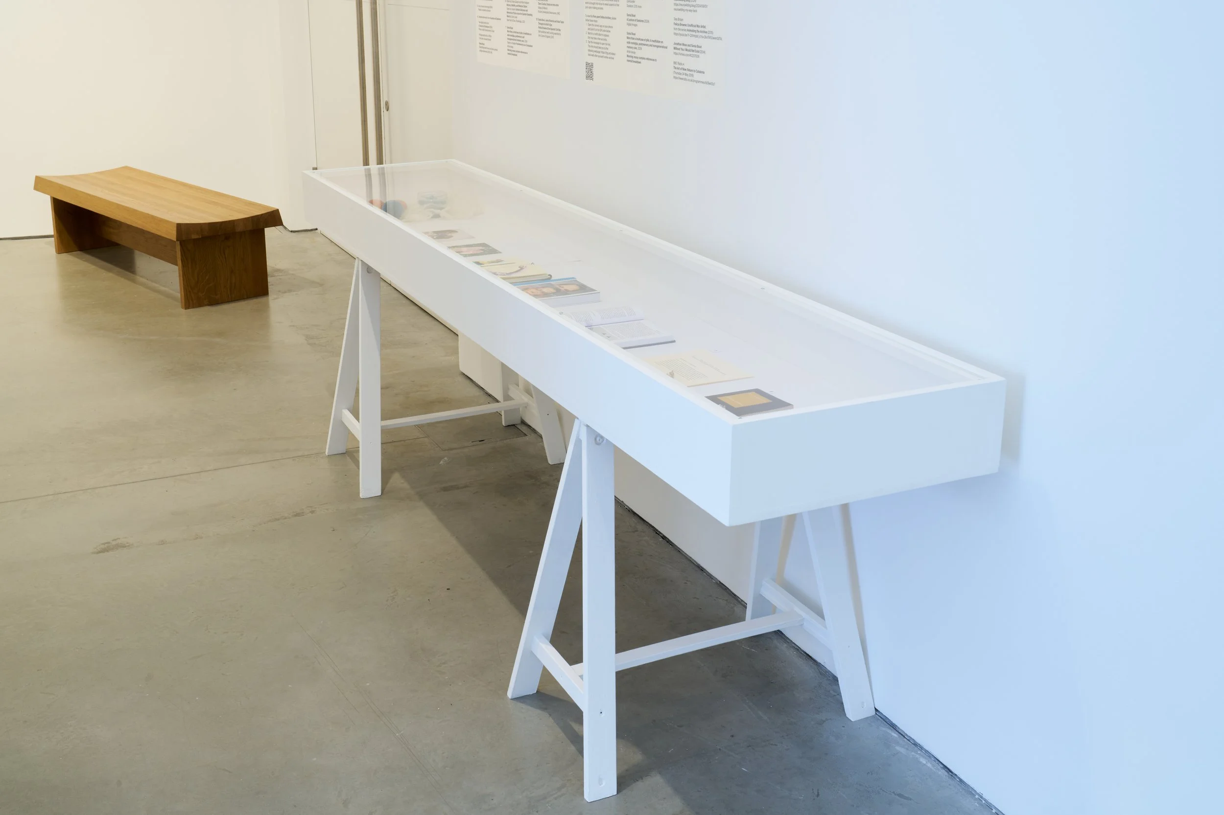 Look Well After Yourself, 2024, A white vitrine containing Sonia Boué's  Pom-pom Archive.
