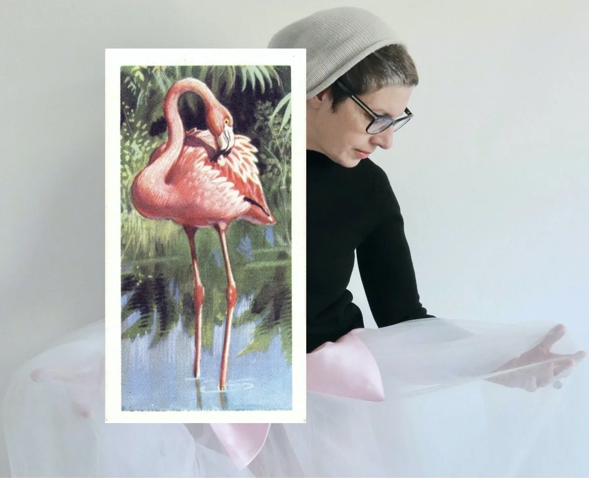 Flamingo | 
I had two left feet and famously froze in my debut performance of Winter Wonderland for the Woodland’s School of Stage Dancing in 1971. This was unfortunate because I had mastered ‘flamingo’ in Mexico on seeing my first flamenco performan