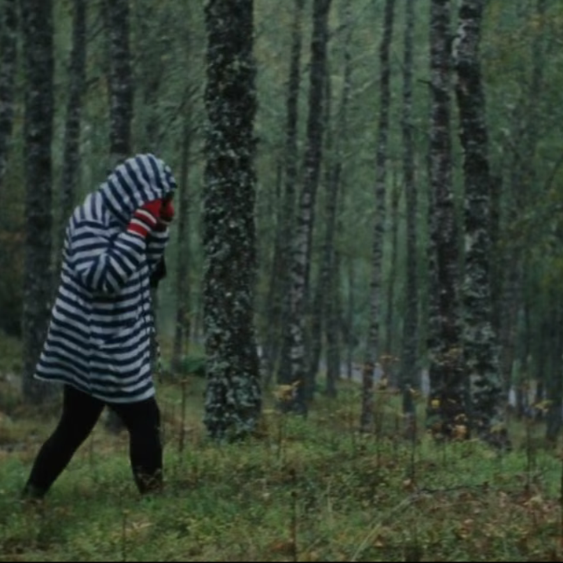 Sonia Boué Reviews Illuminating the Wilderness, Project Art Works, 2020