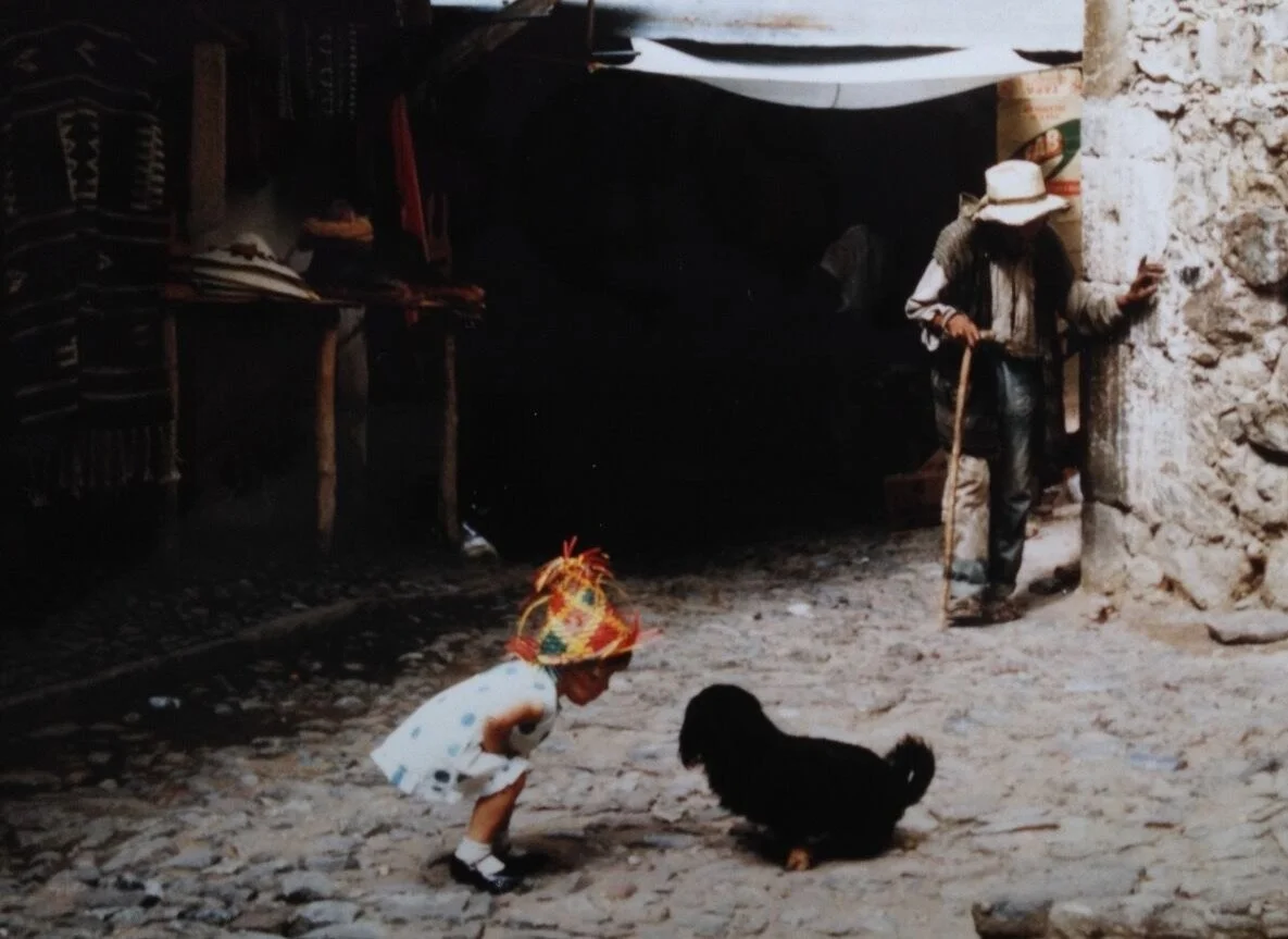 A young girl dressed in a white dress with blue polka dots and a colorful hat is crouched down, looking at a small black dog on a cobblestone street. An older man wearing a hat, gray shirt, and dark pants is leaning against a stone wall, holding a walking stick.