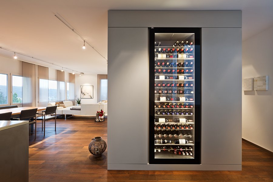 Klimaschrank Privat Basel
