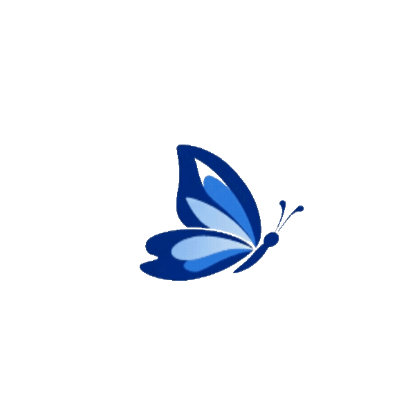 RPC Accountancy butterfly logo in navy