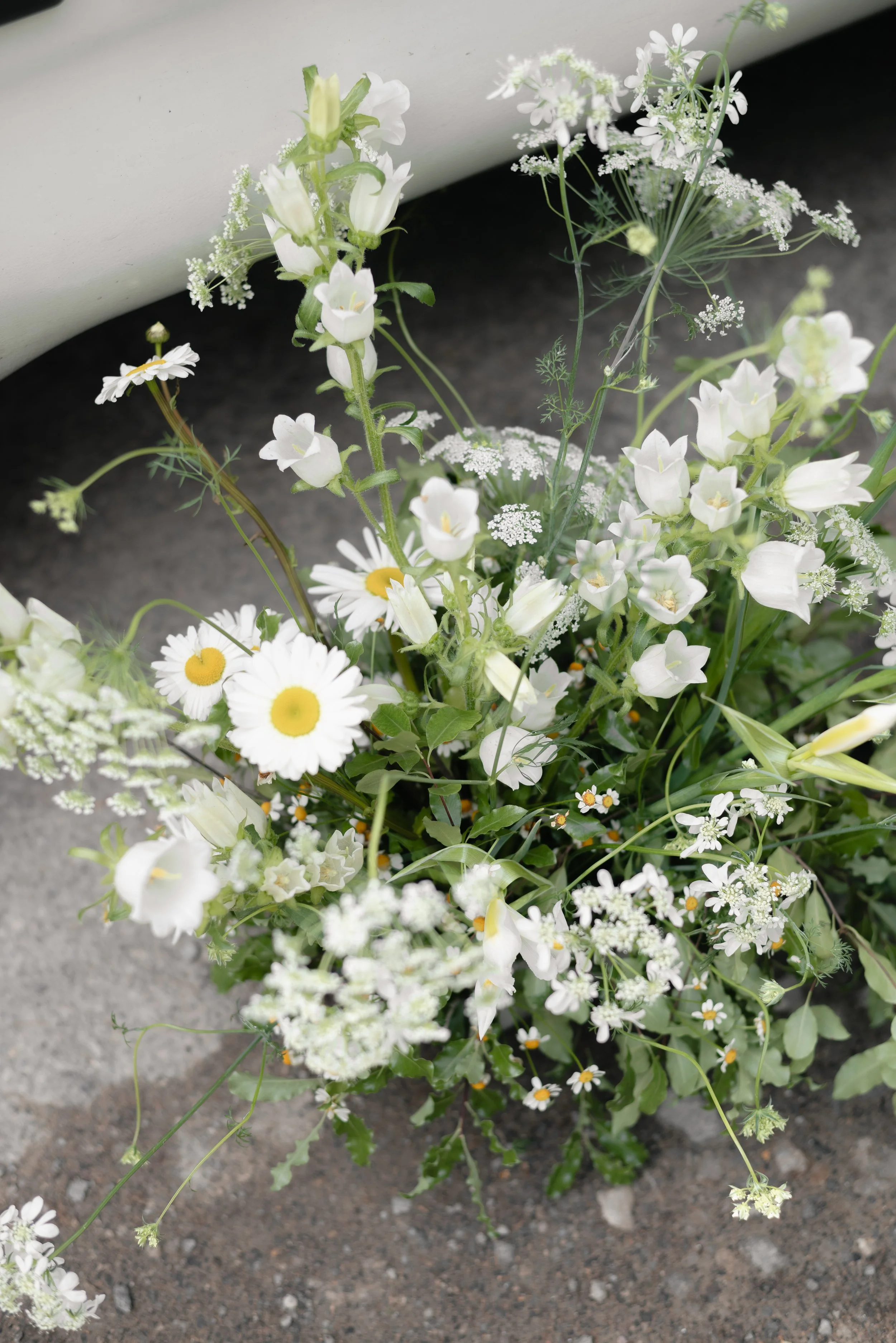 DSC_2352.jpg