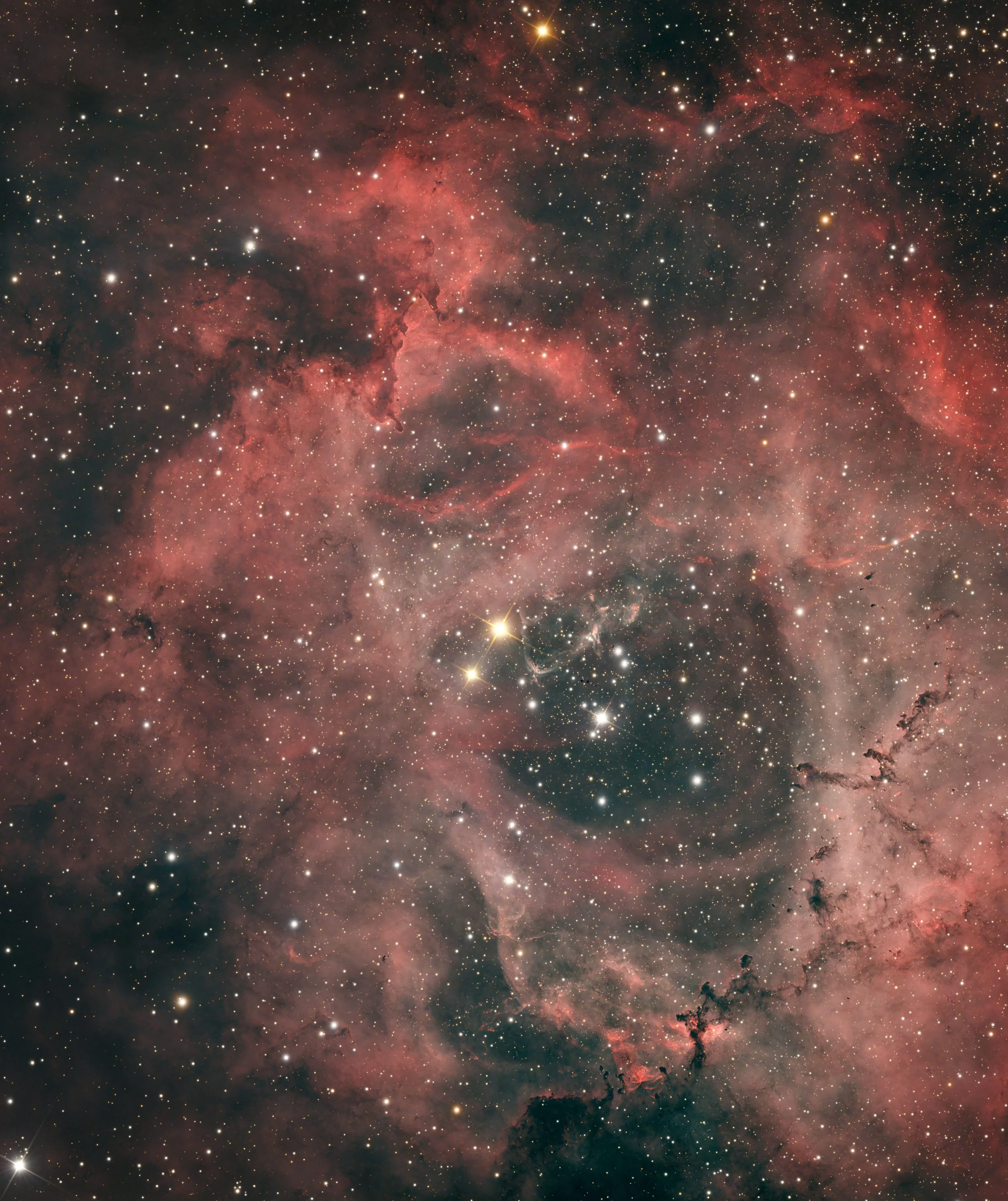 A detailed image of a region of outer space showing numerous stars, pink and red nebula gases, and dark cosmic dust clouds.