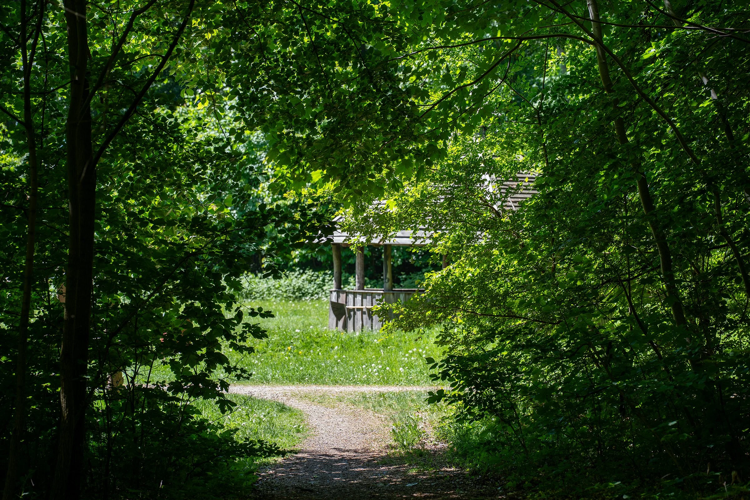 Lystrup Naturfriskole holder Åbent hus 30. maj 2026