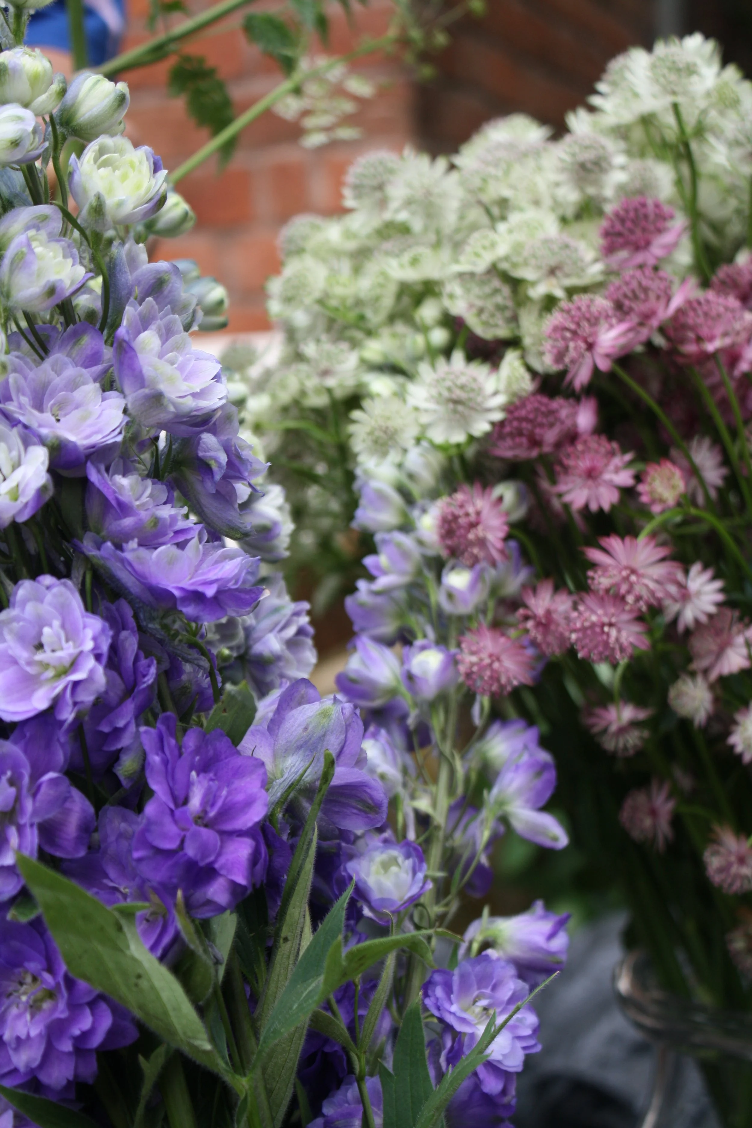 Close-up of purple, white, and pink flowers with green leaves, against a blurred brick wall background.