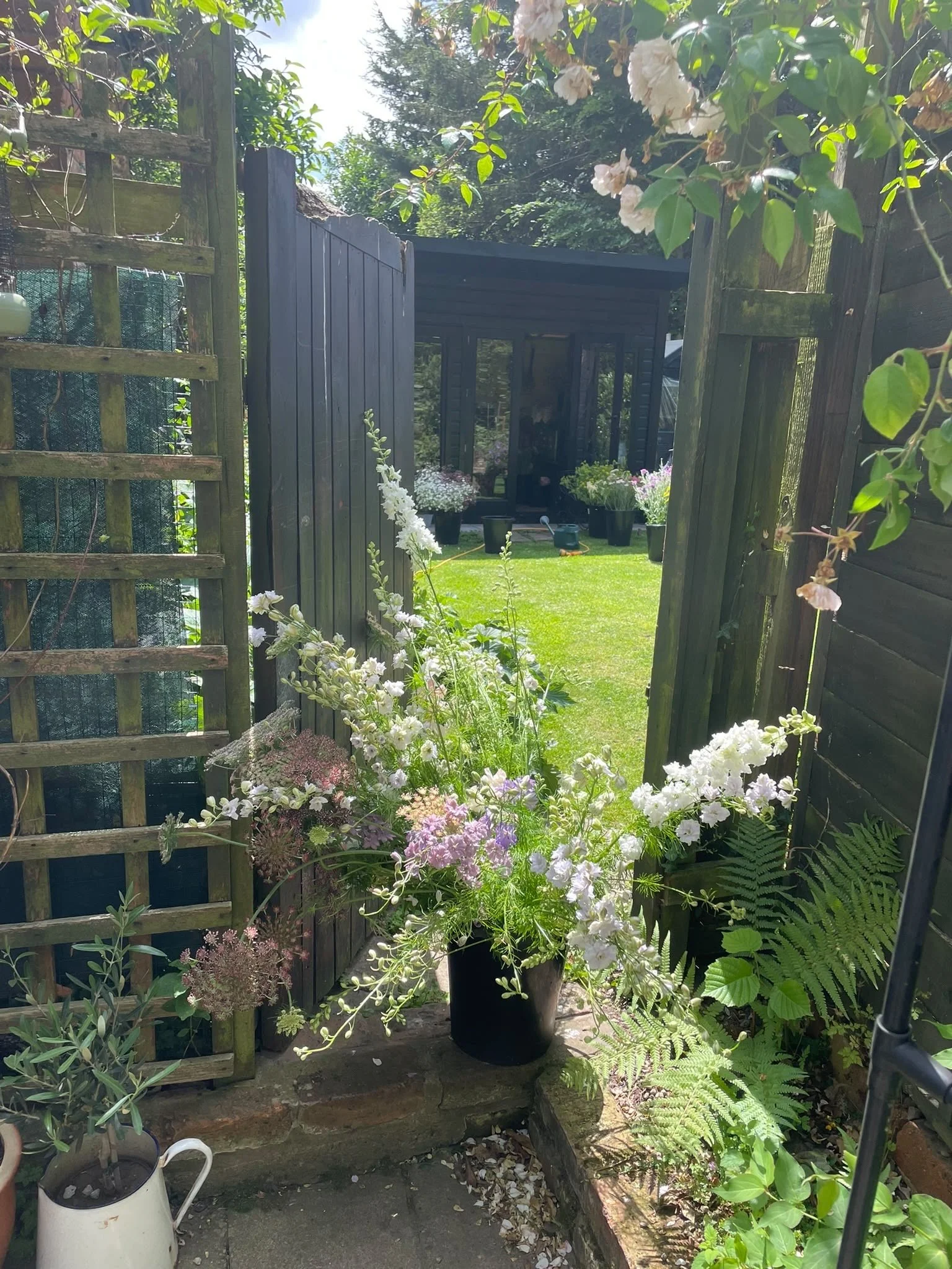 View of a garden with a black fence, potted flowers, and trees in the background, taken from a partially open gate.