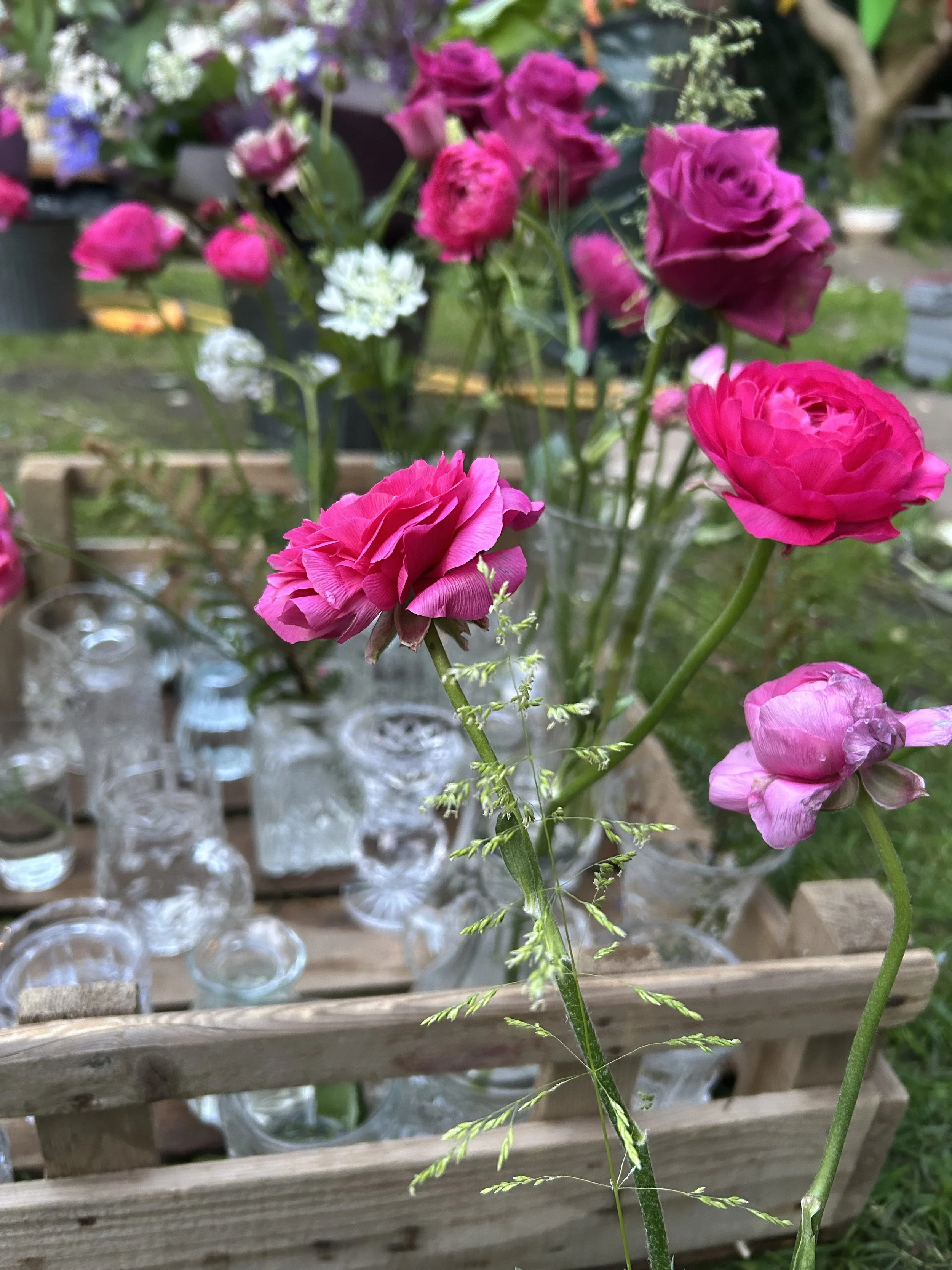 Close-up of pink and purple flowers with green leaves, arranged in a garden setting with glass jars in the background.