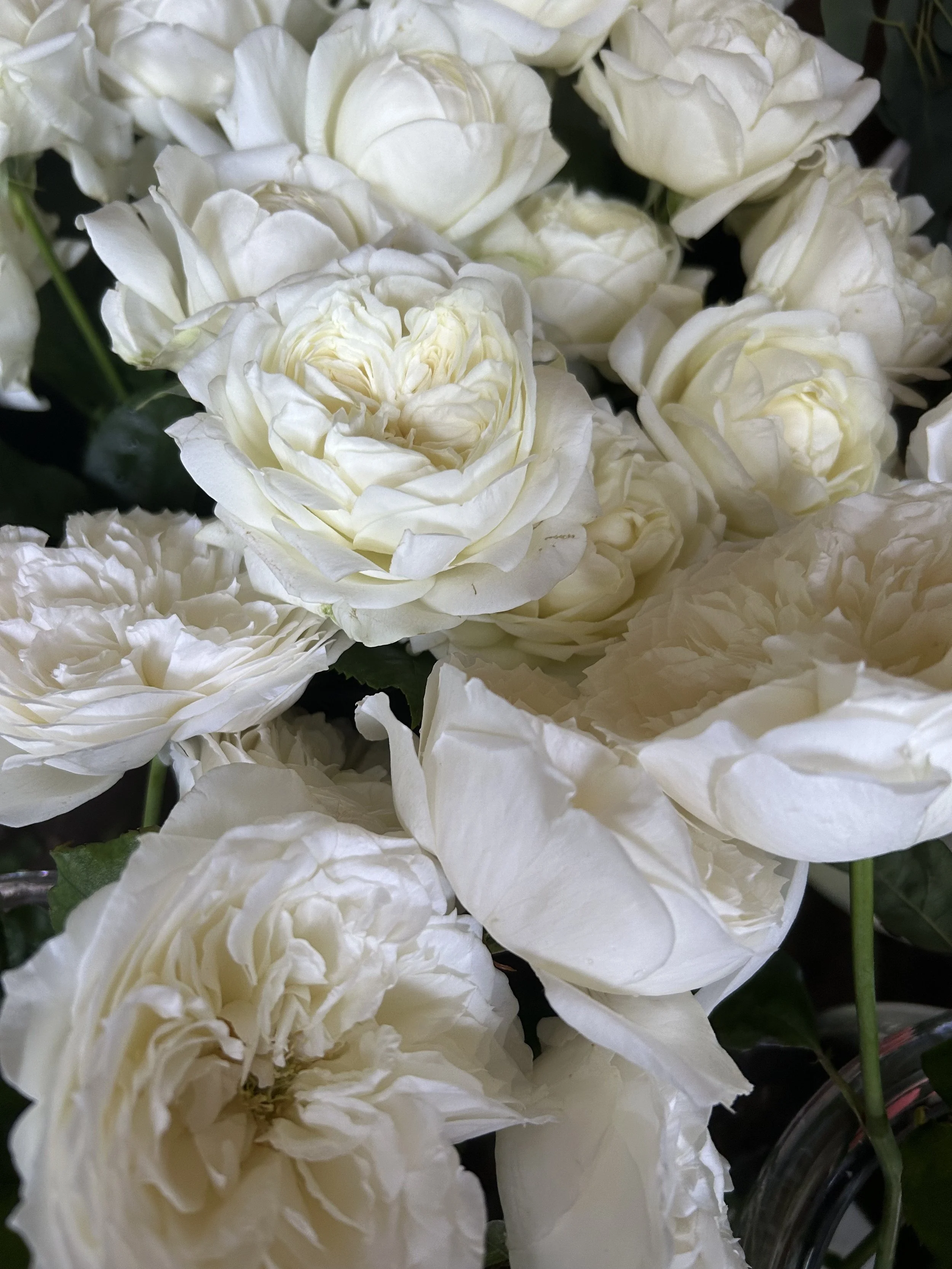 IMG_1148 2.jpeg
