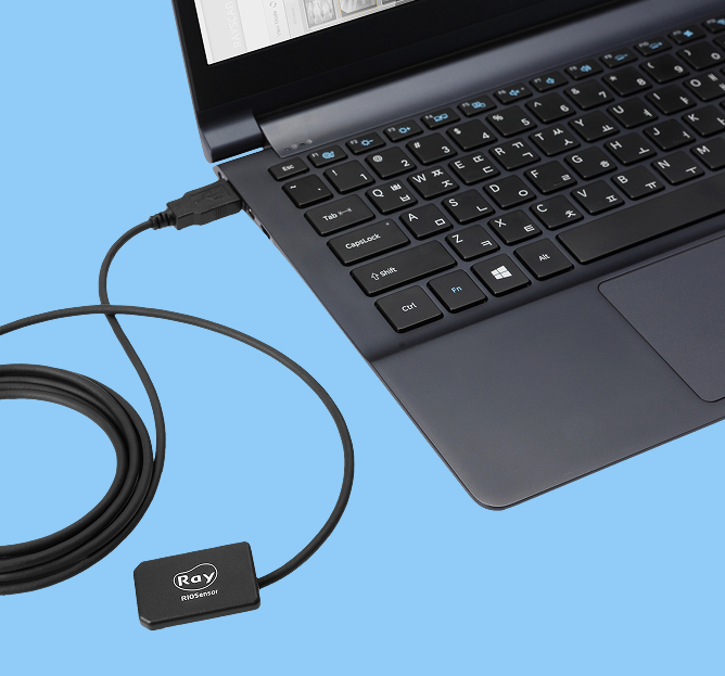 A laptop with a connected black device labeled 'Ray RIoSensor' on a blue background.