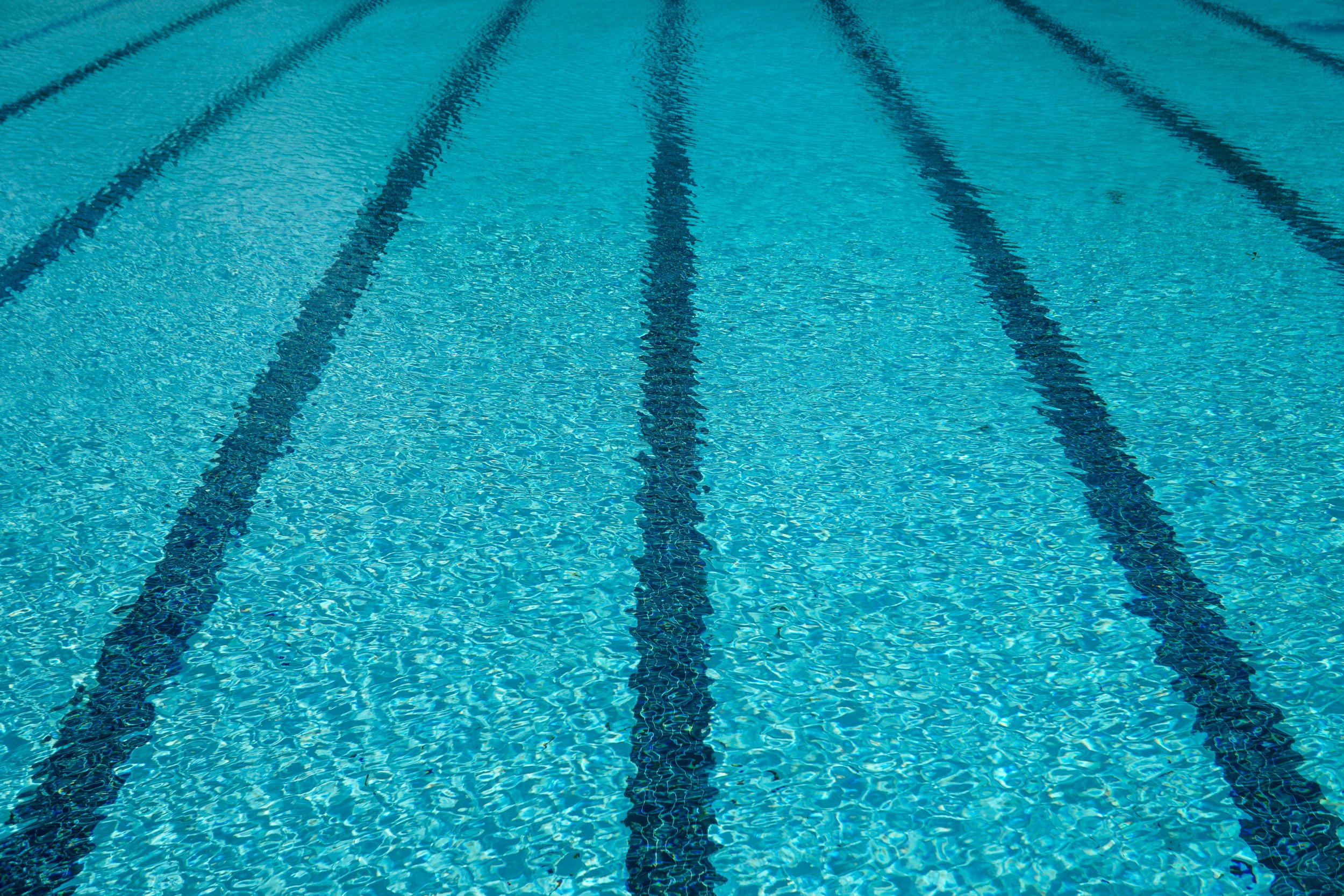 View of a swimming pool with blue water and dark lane markings.