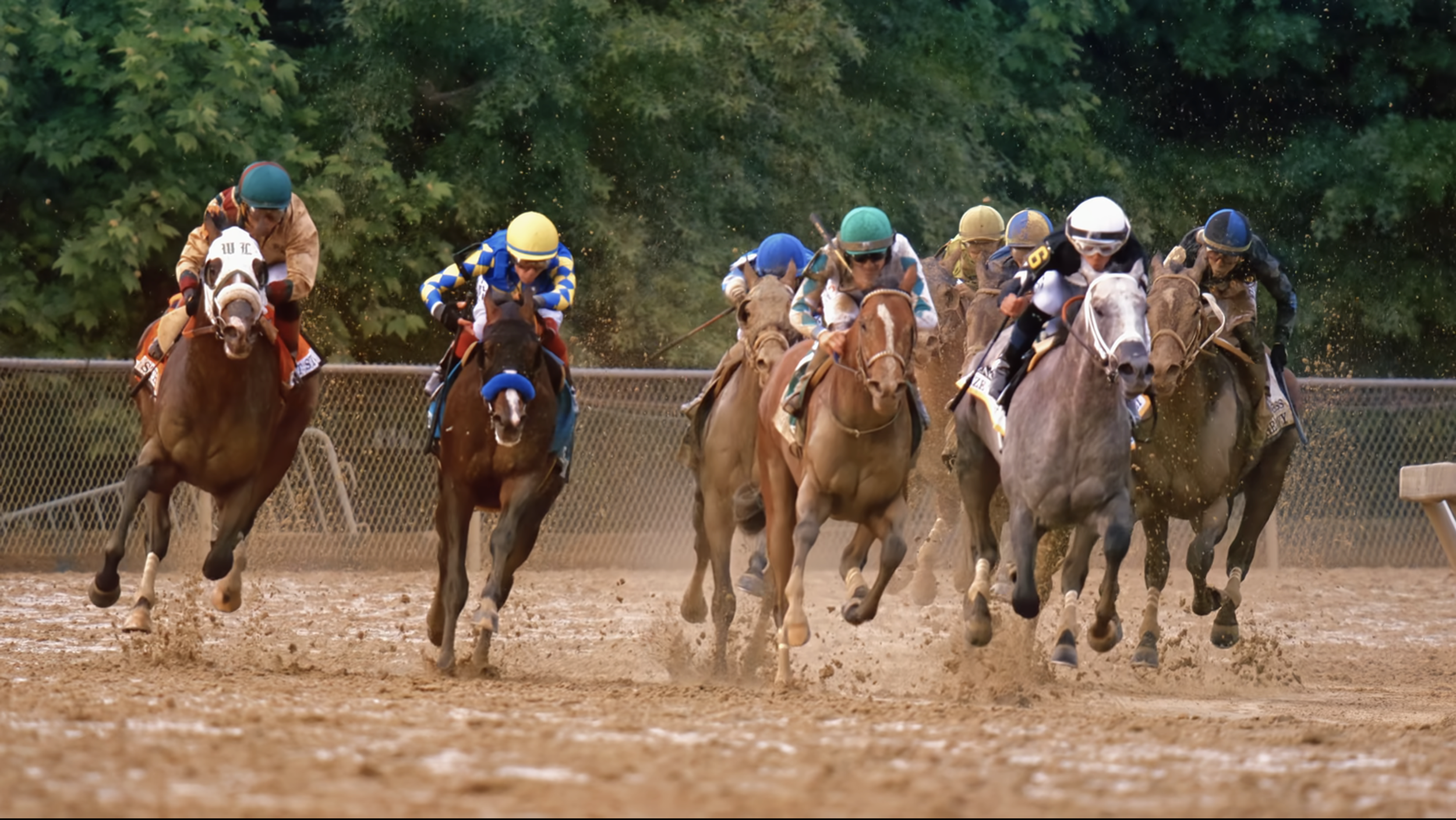 Race for the Crown | NETFLIX Series