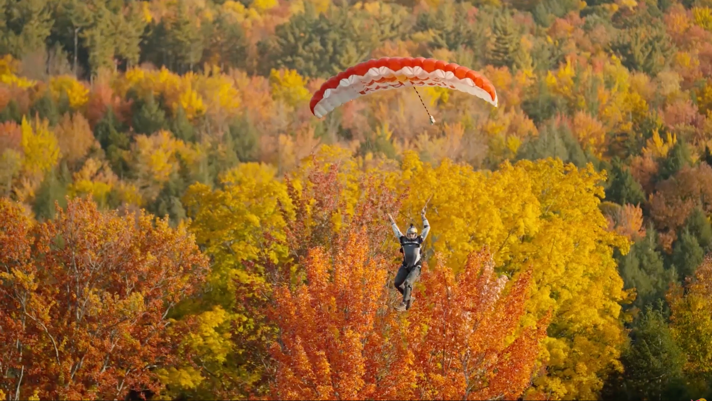Red Bull | Swoop