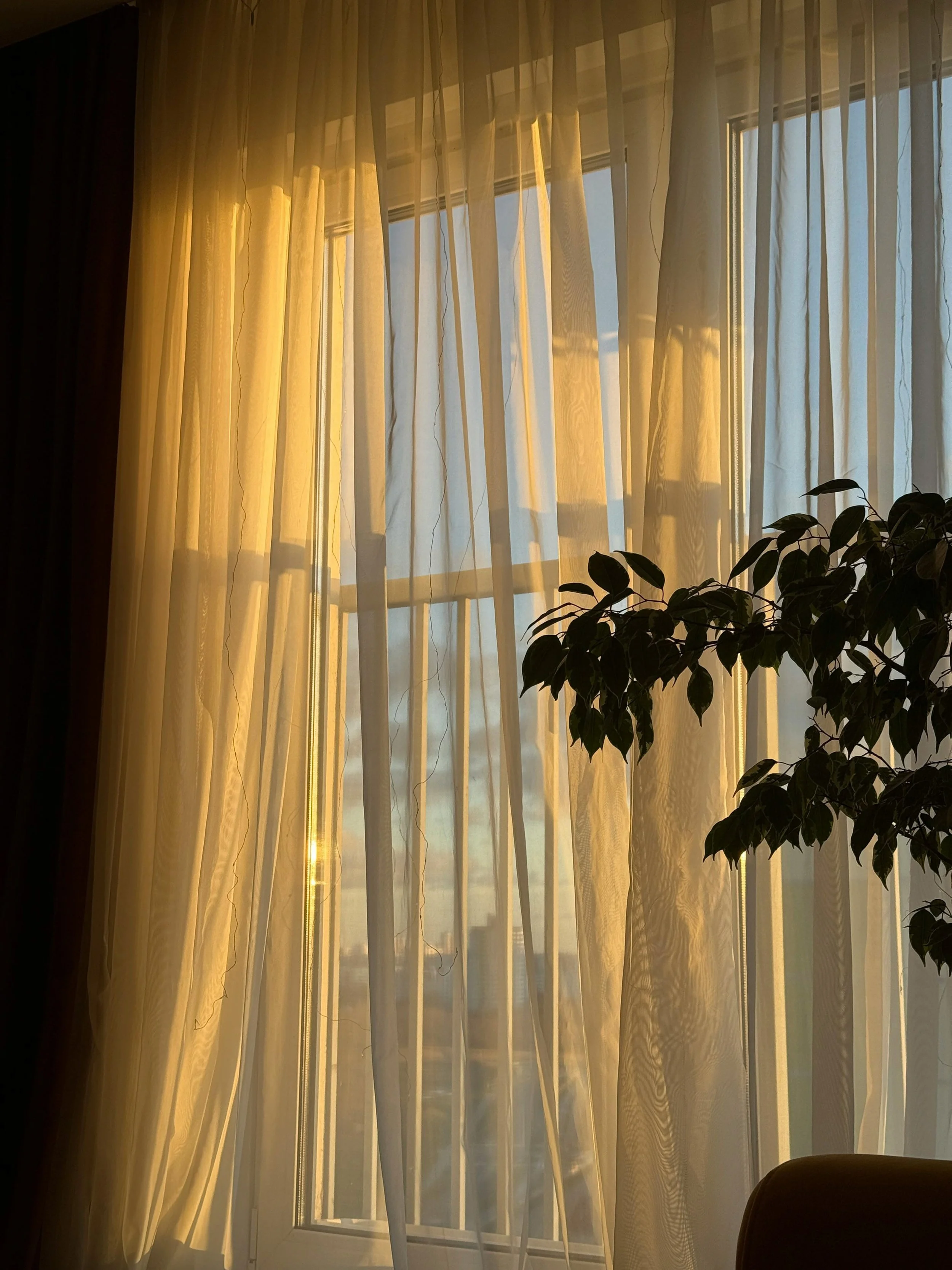 Sunlight shining through sheer curtains onto a window, with a potted plant and chair silhouette in the foreground.