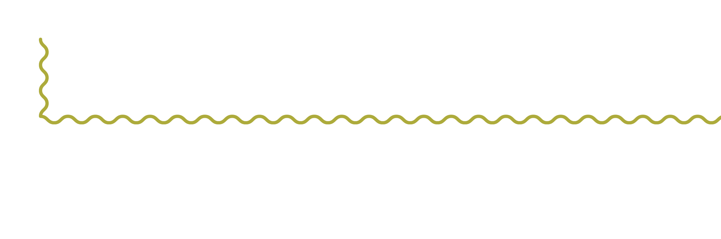 Decorative squiggly green line