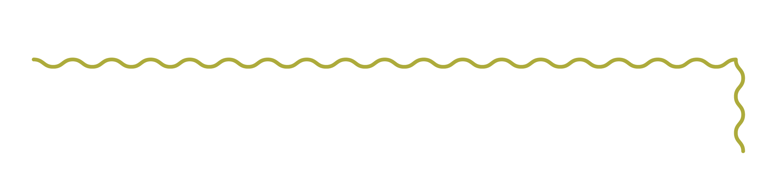 Decorative squiggly green line
