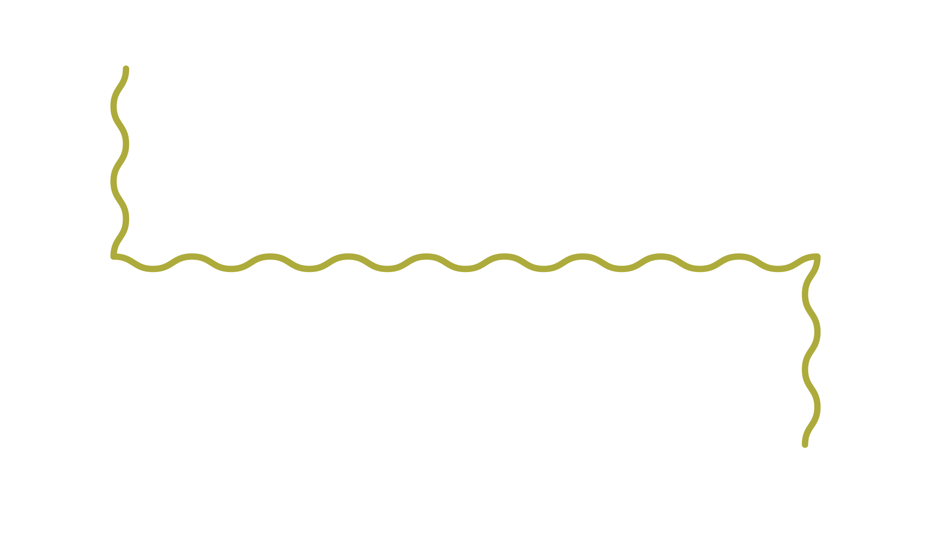 Decorative squiggly green line