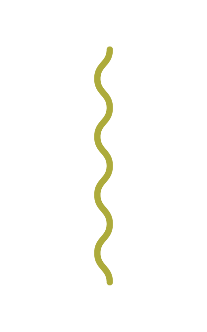 Decorative squiggly green line