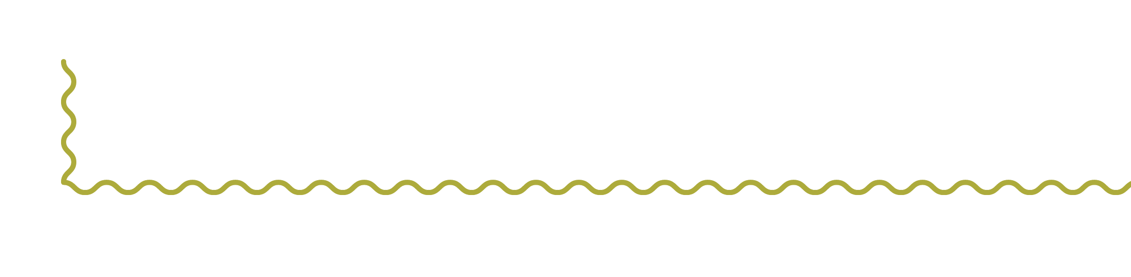 Decorative squiggly green line