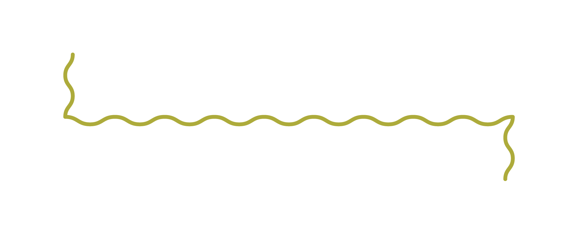Decorative squiggly green line