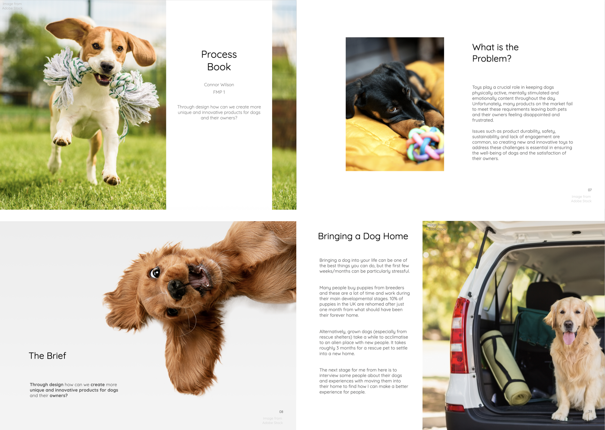 Slides from my process book which helped me in my research over the course of the project
