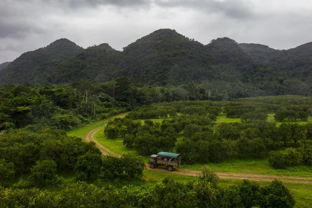 Touring the Belize Rainforest