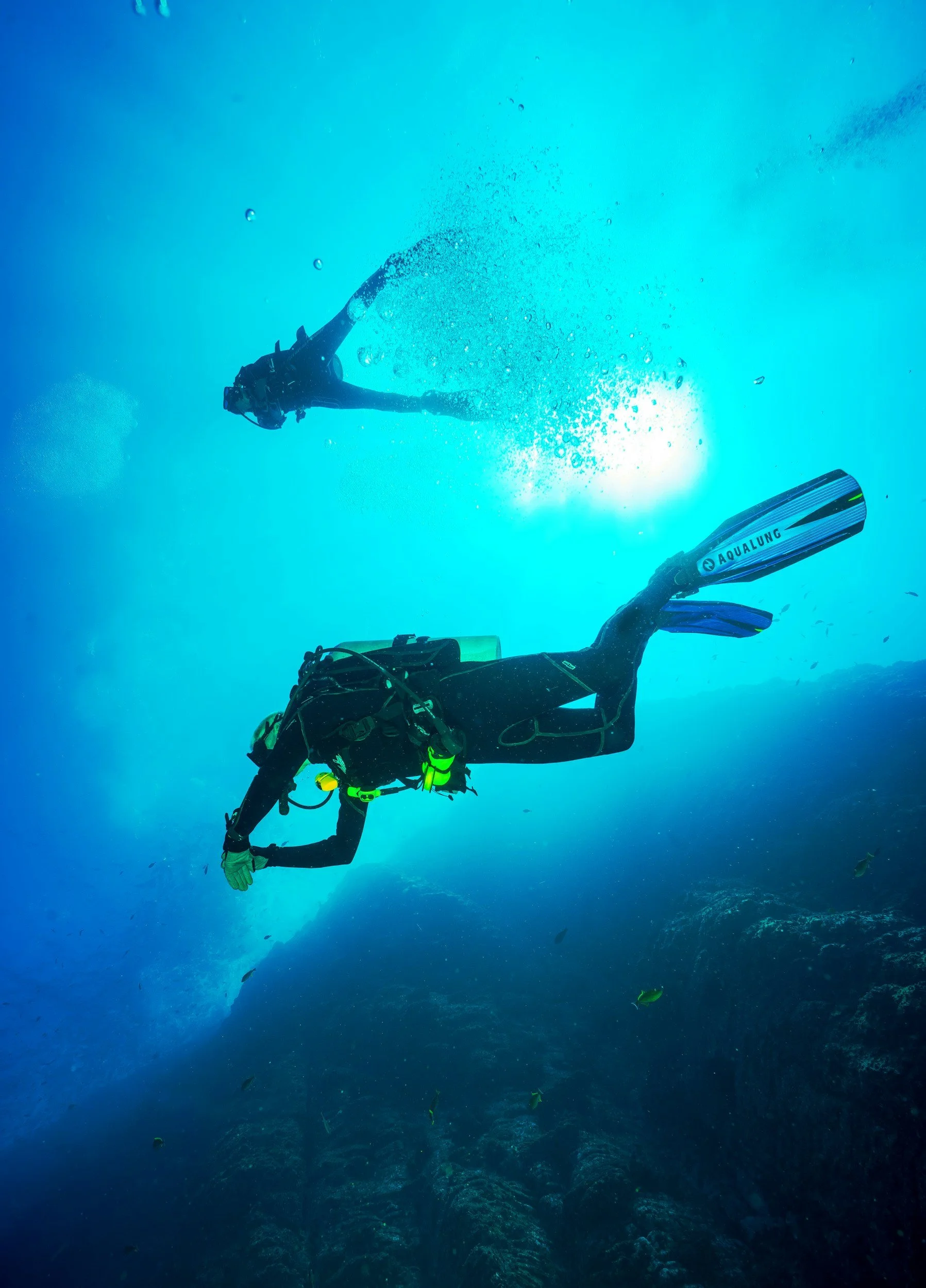 A 7-Night Belize Scuba Diving Itinerary at Casa Al Mar