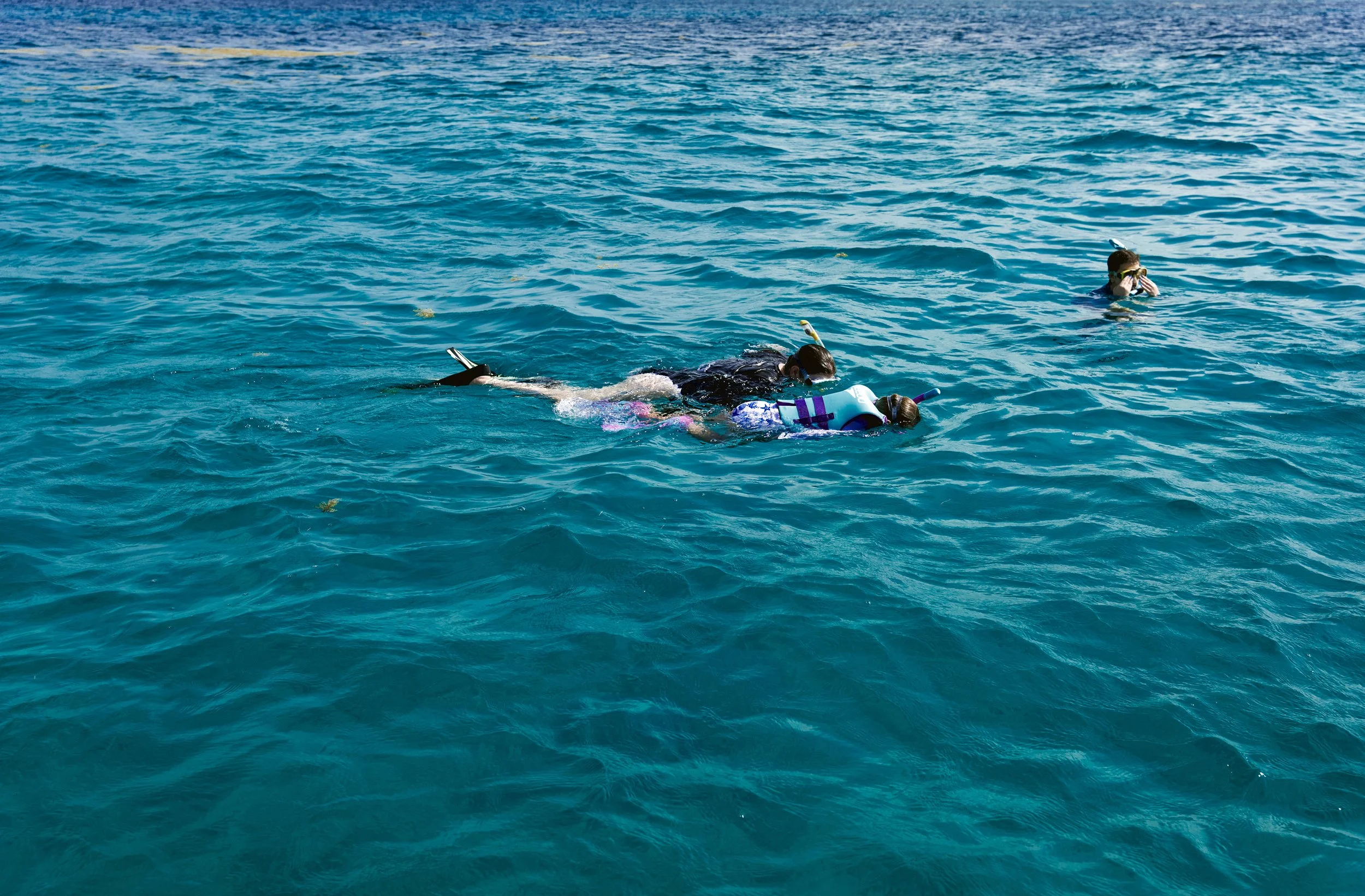 Snorkel spots are just 15-mins from Casa Al Mar