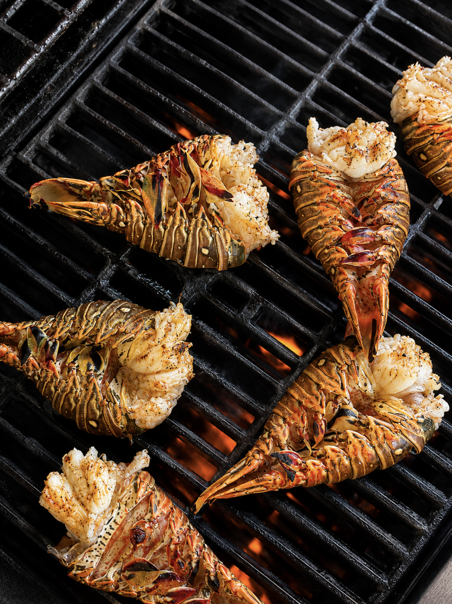 LobsterFest-Belize.png