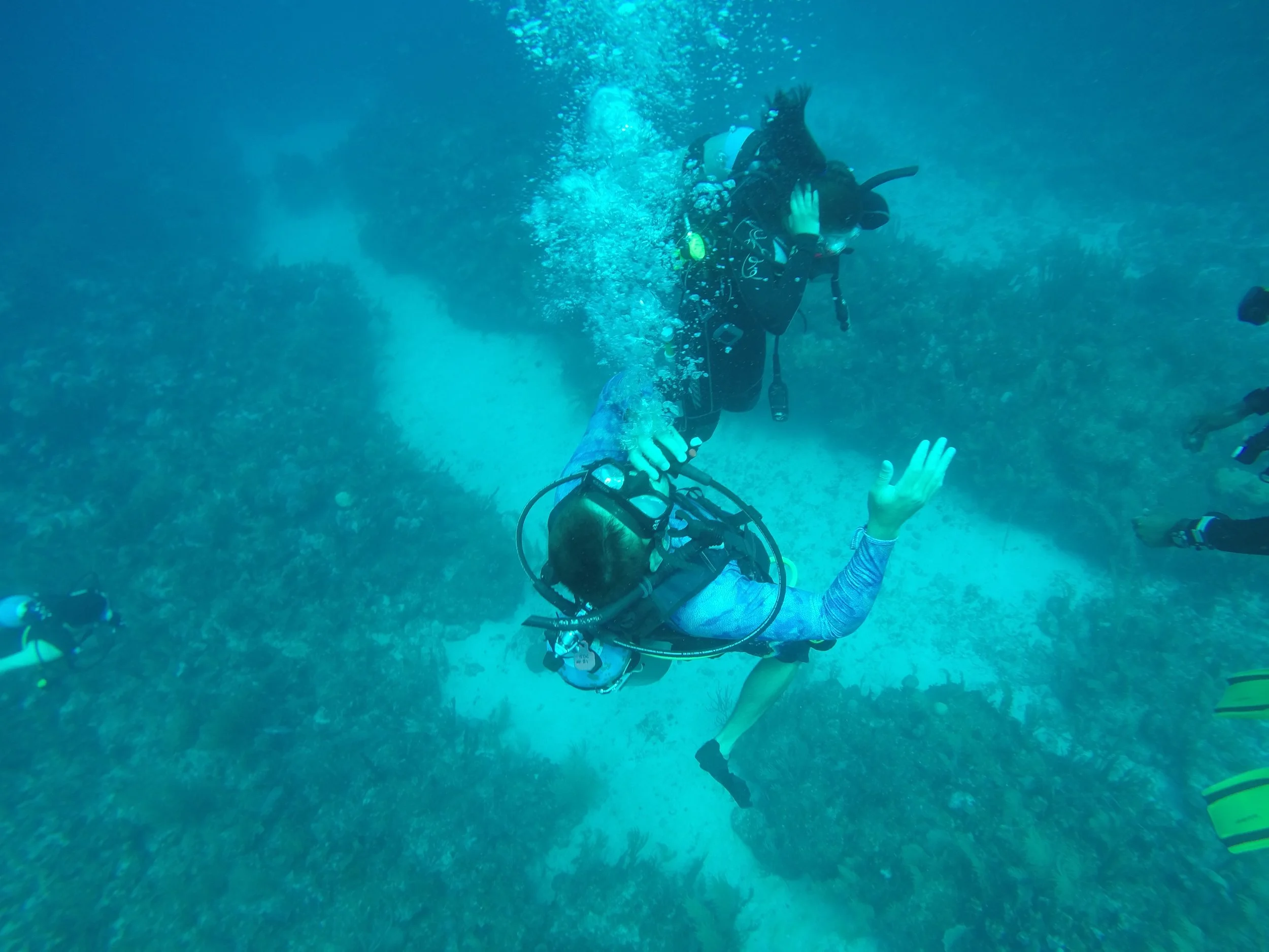 Scuba Diving