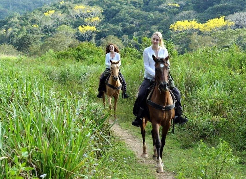 Horseback Riding at Caves Branch