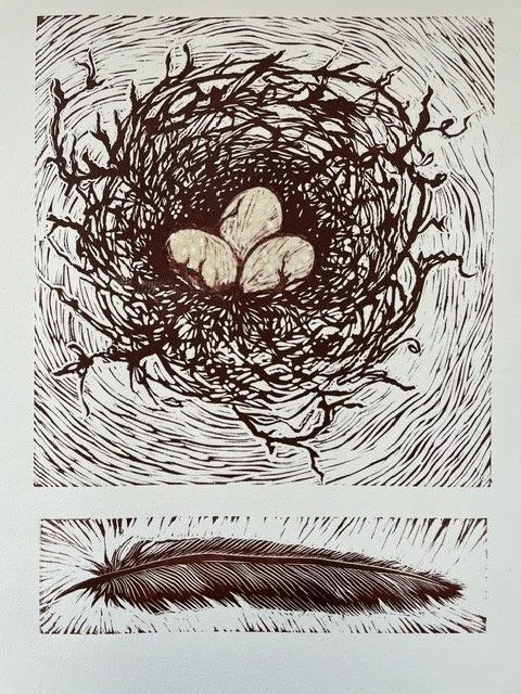 Why Nests?