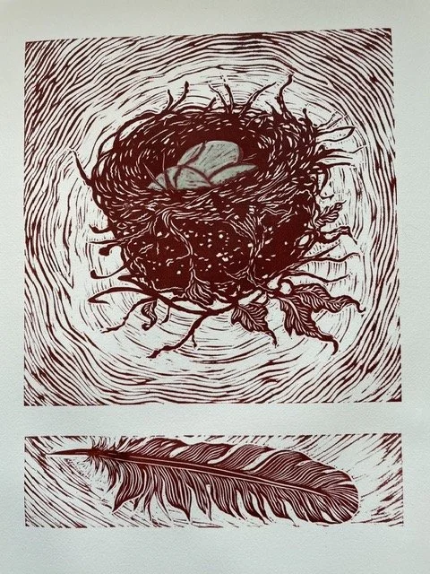 Robin Nest II