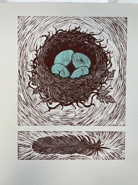 Robin Nest