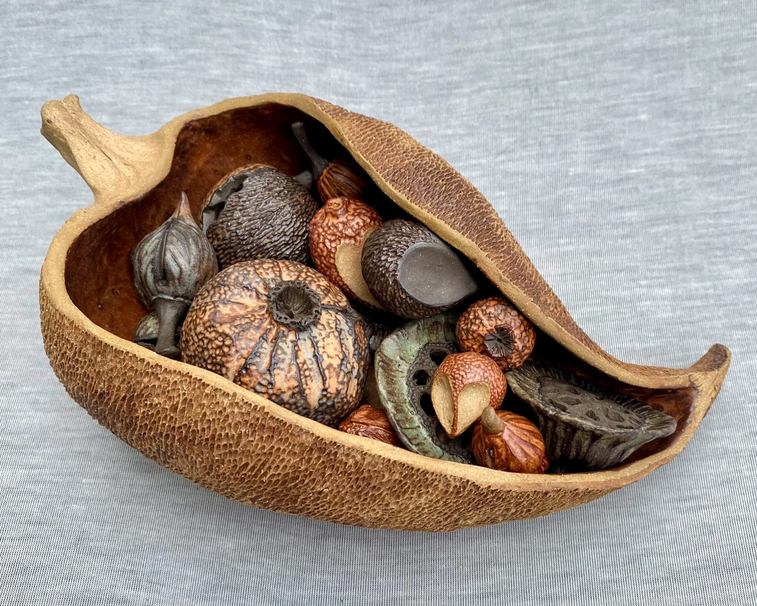 About Seed Pots