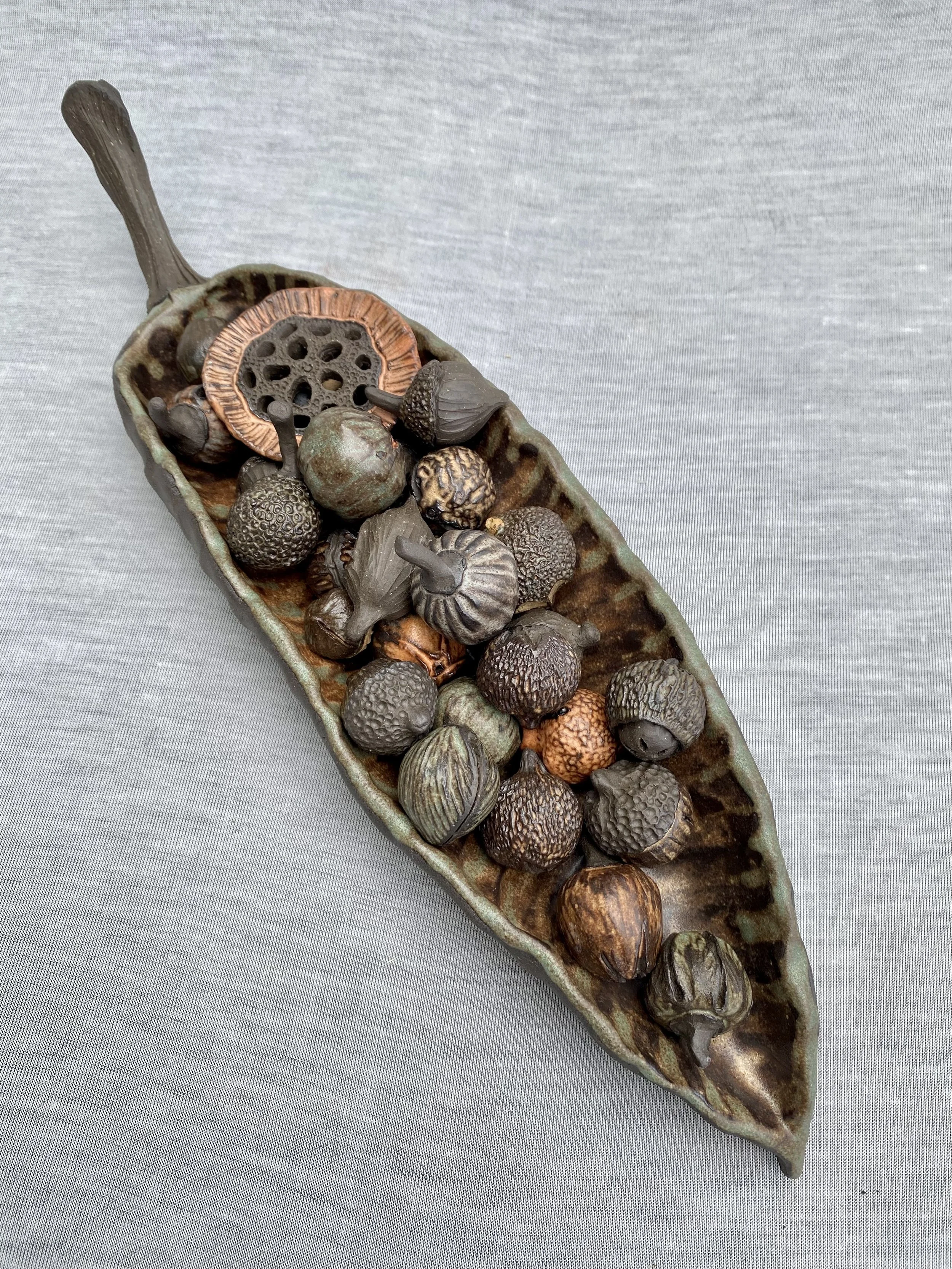 Seed Pot Collection #3.jpg