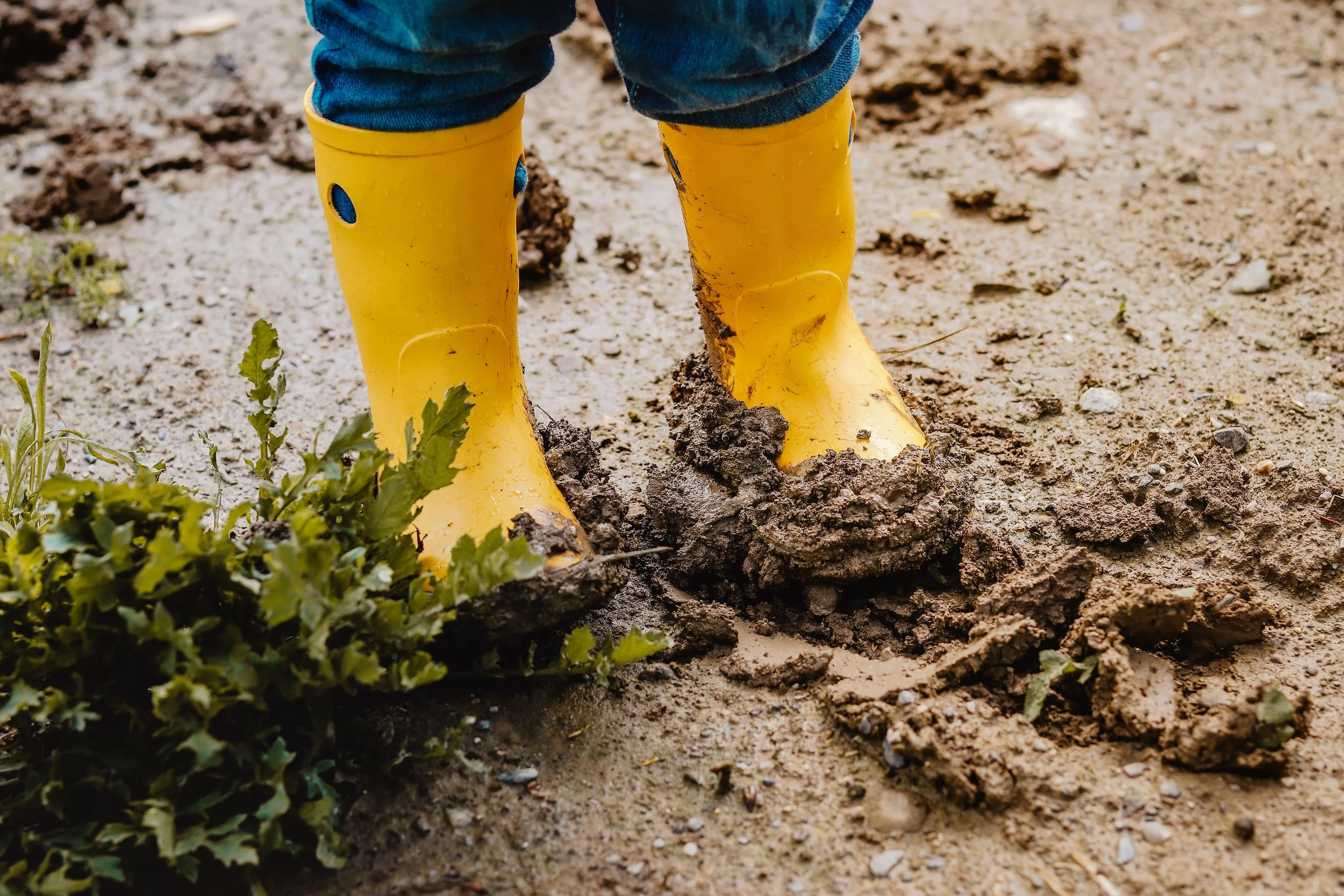 yellow-rain-boots-splashing-in-mud-outdoors-2026-01-08-00-39-22-utc.jpg