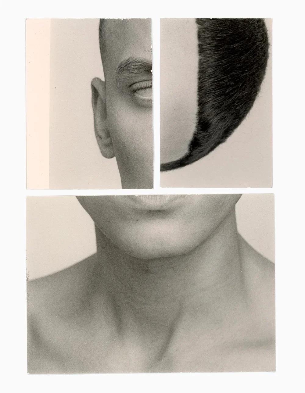"PORTRAIT SECTIONING", multiple sizes gelatin silver prints, 2024, NOT FOR SALE