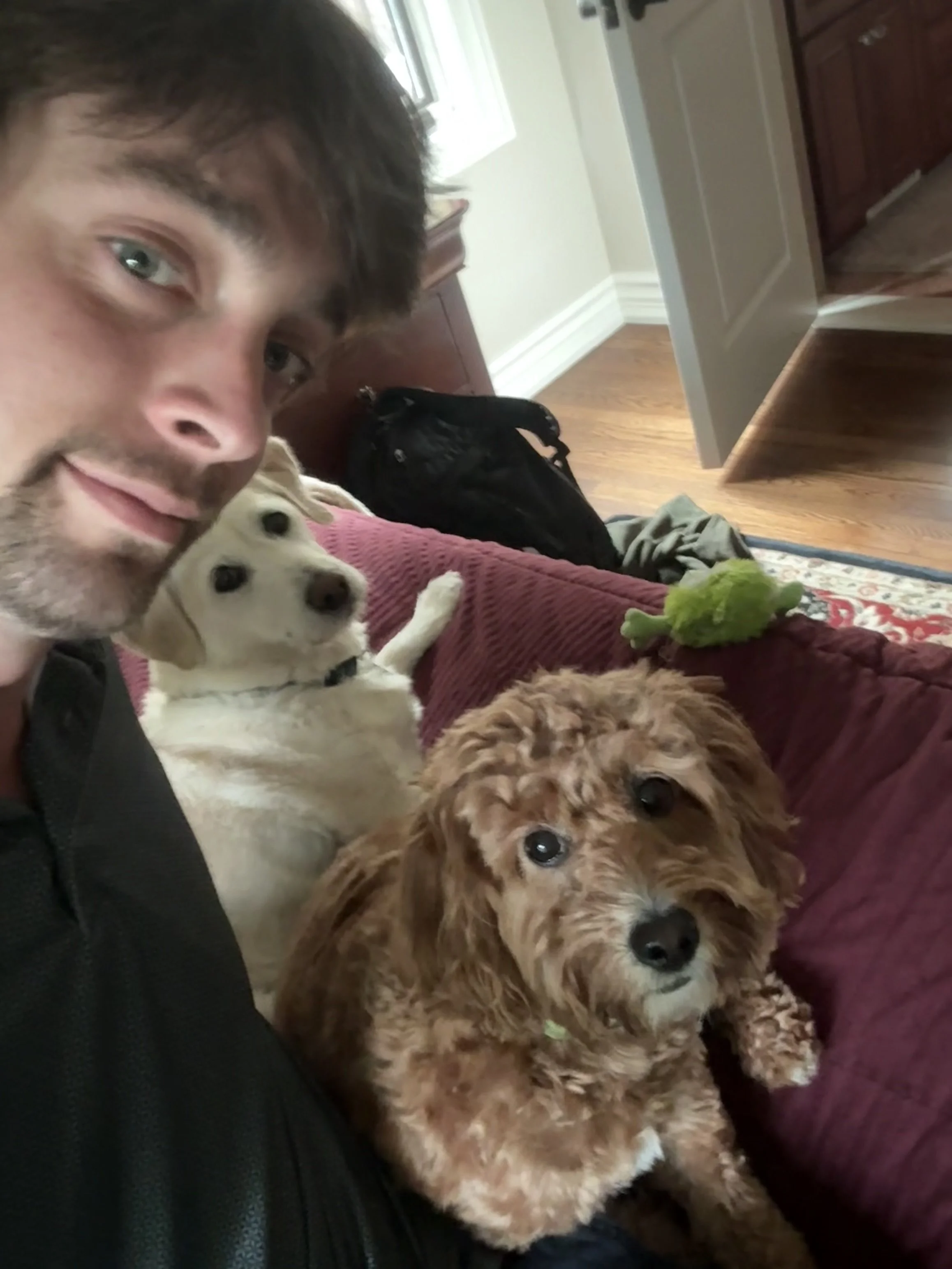 Me with my mom's dog Sammy and my dad's dog Woody, right before Sammy decides he wants to kiss me.