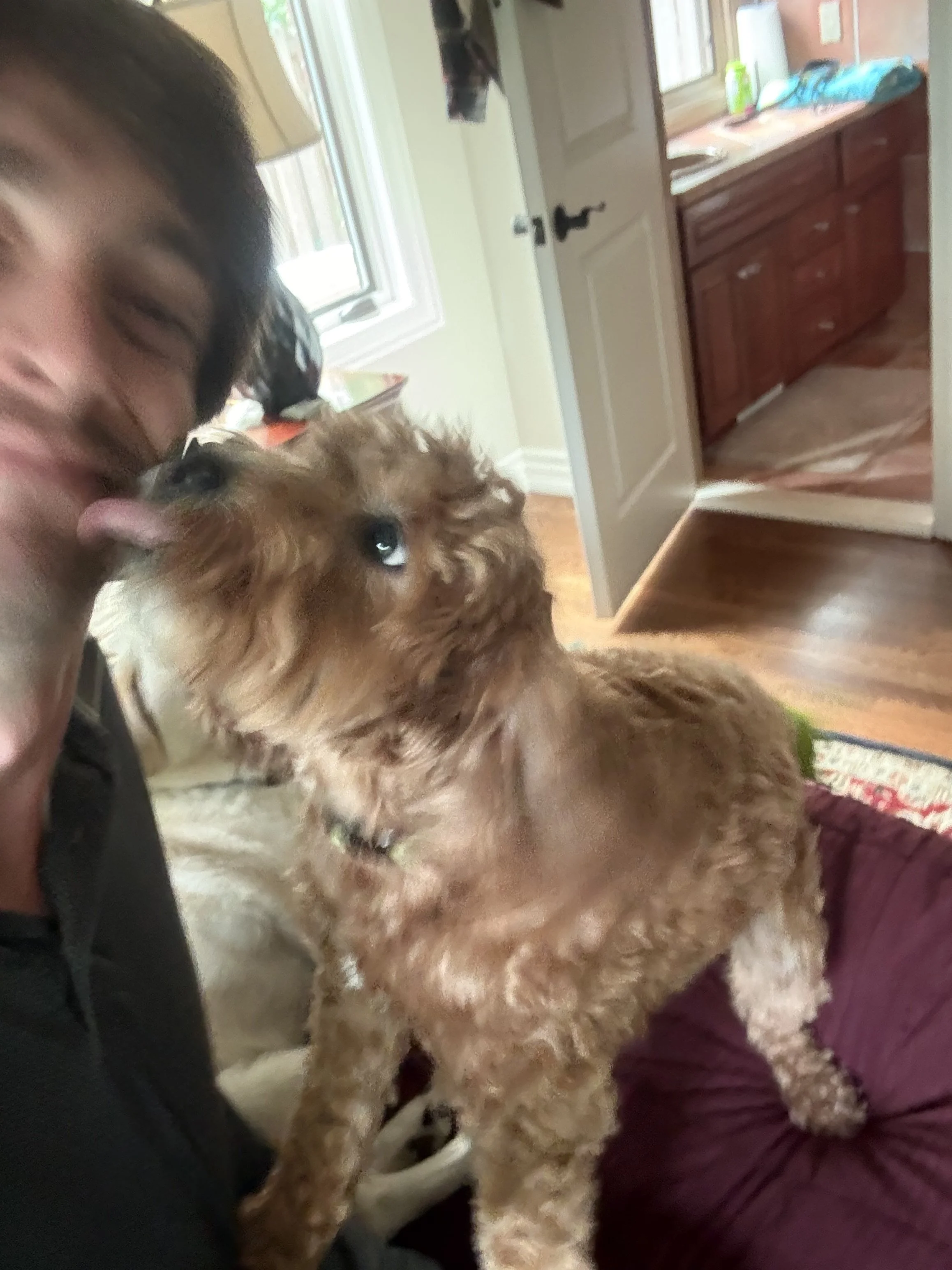 Action-shot of Sammy's mid-air kiss.