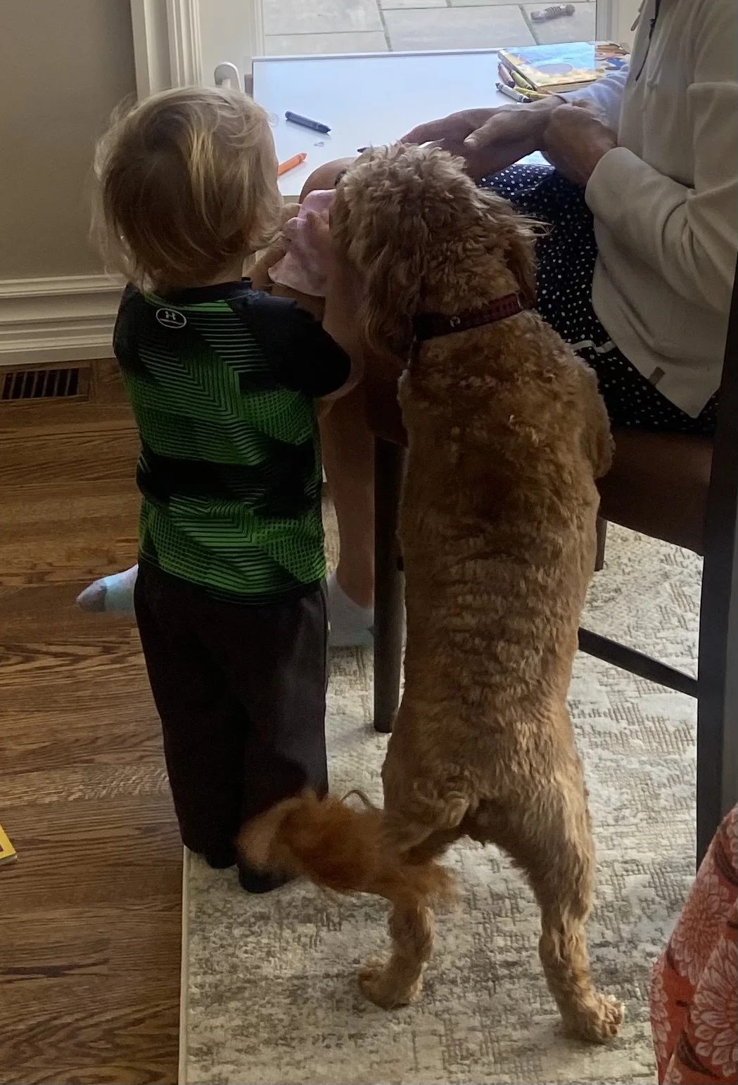 Sammy standing up tall next to my nephew.