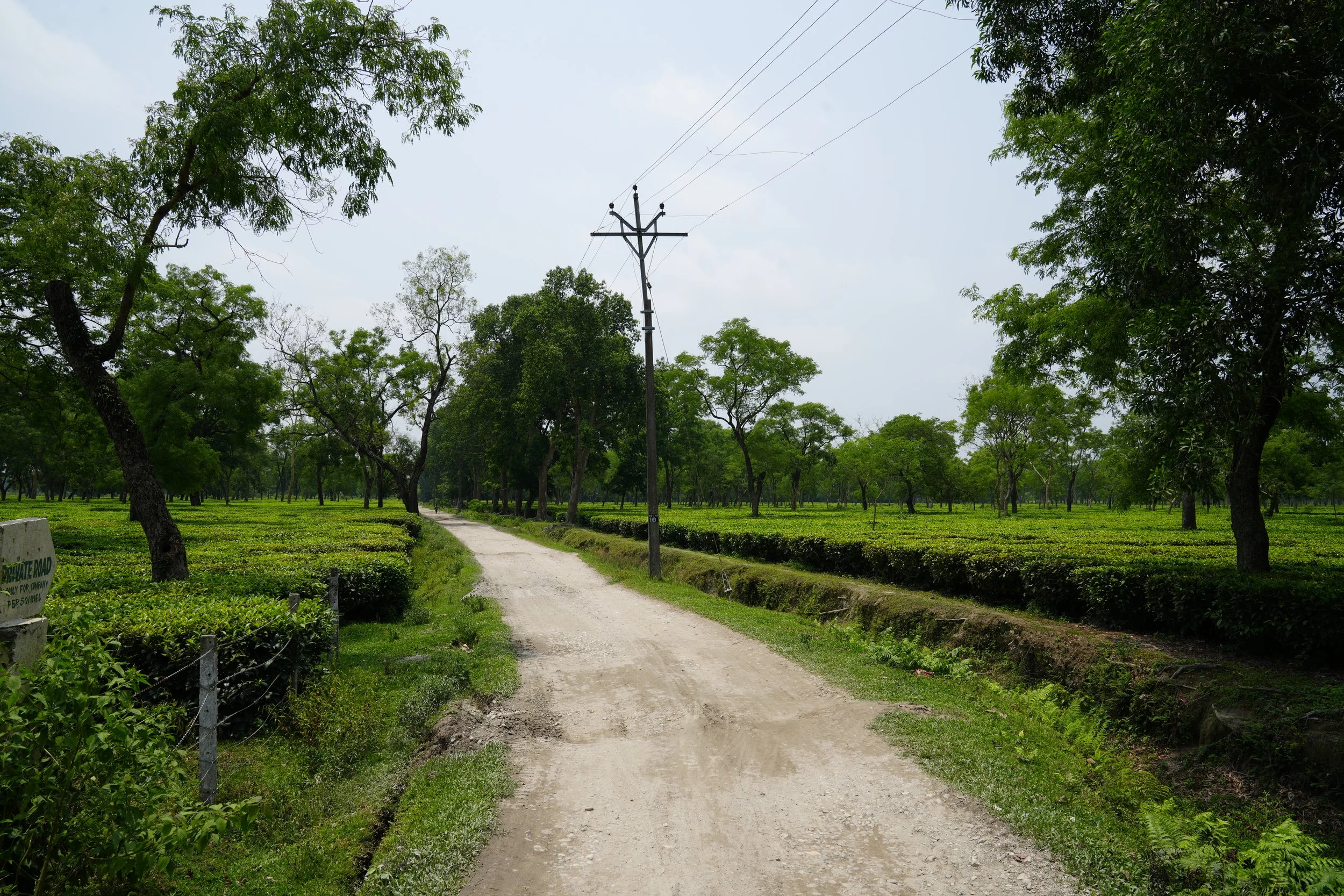 DSC03305.JPG
