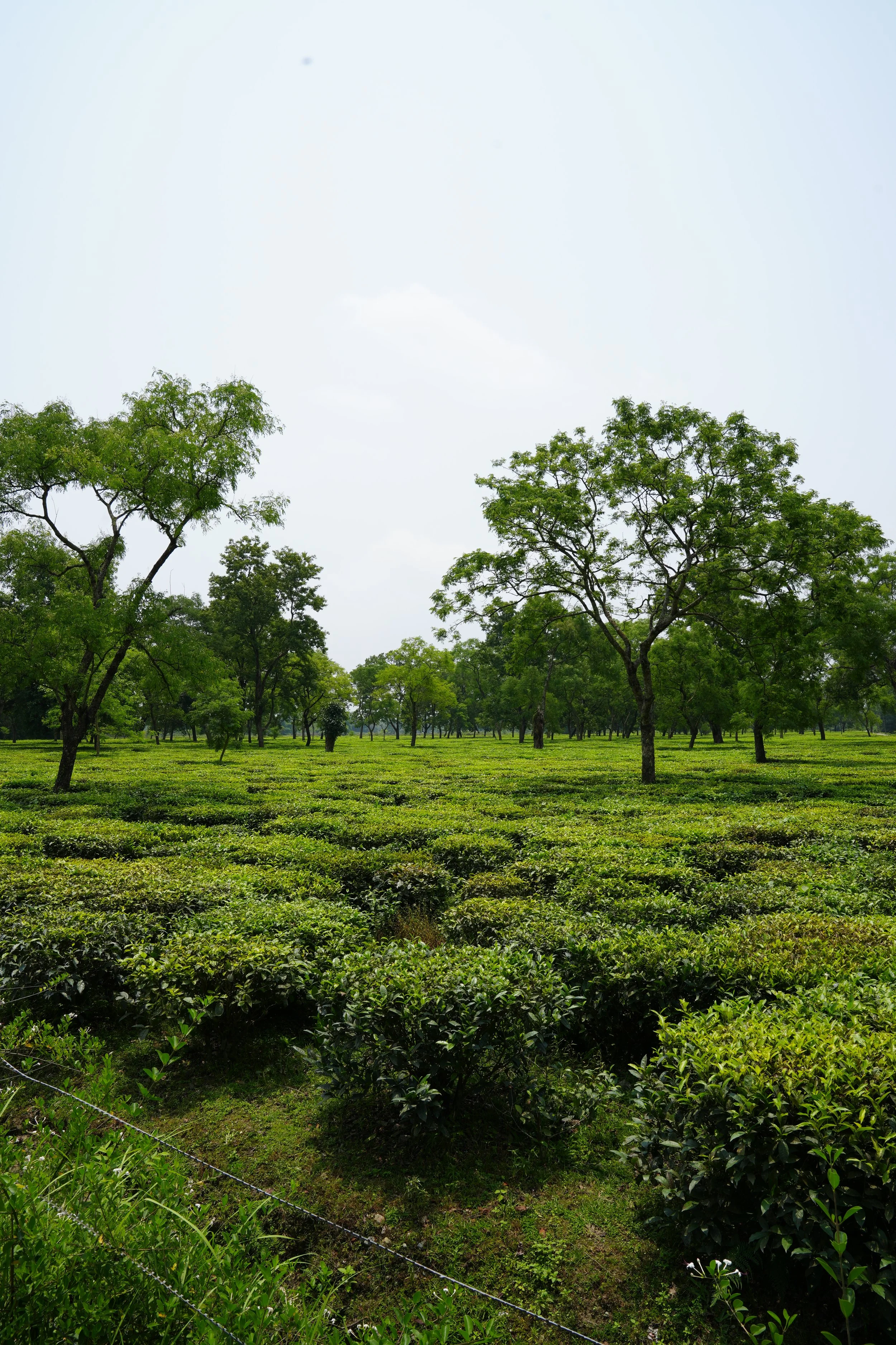 DSC03301.JPG