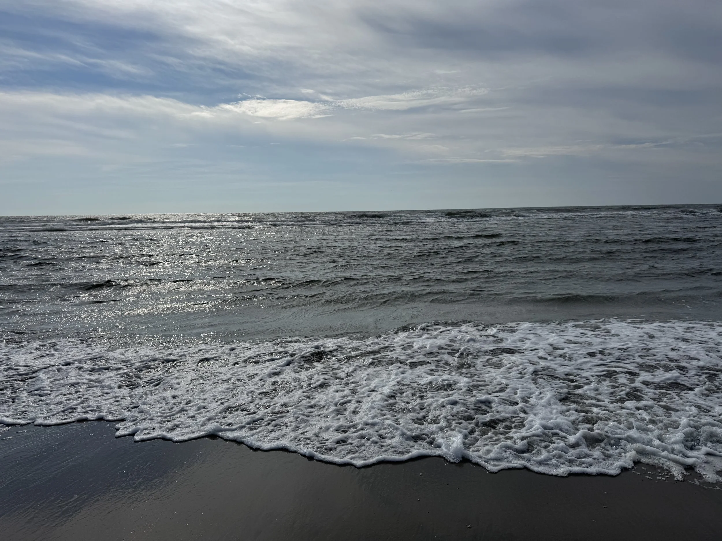 IMG_5282.jpeg