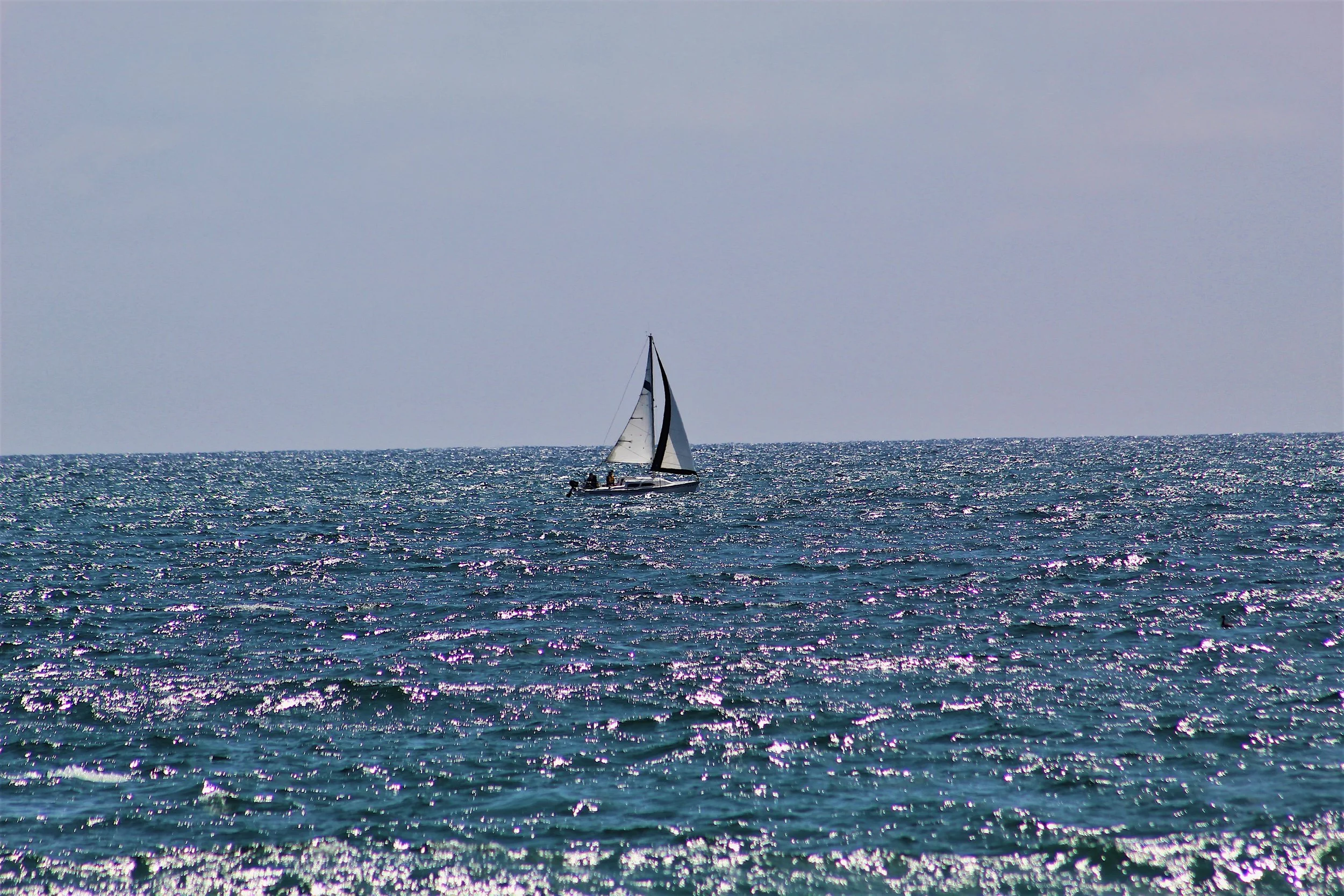 Sail Boat - Ocean City NJ