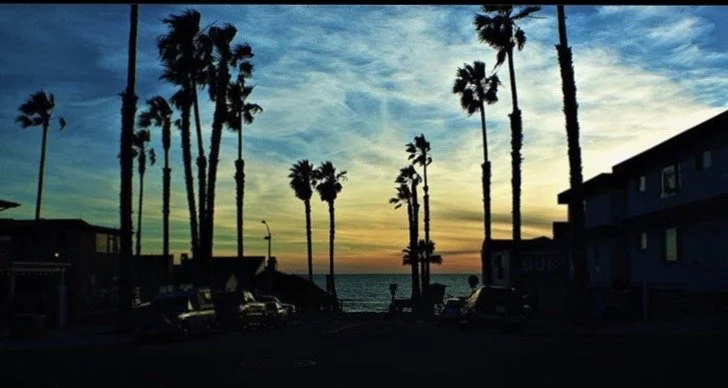Palm trees silhouette at sunset above a street near the beach, with cars parked along the road and a few houses on the right.