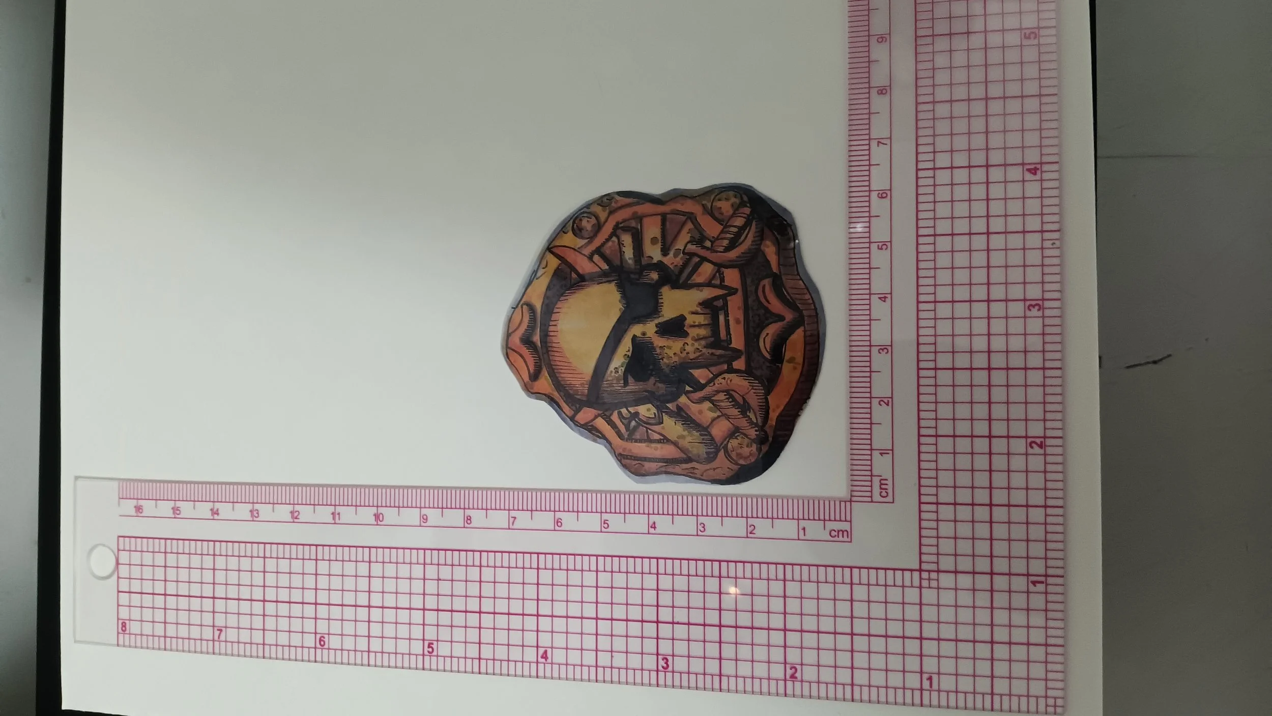1000041878.jpg